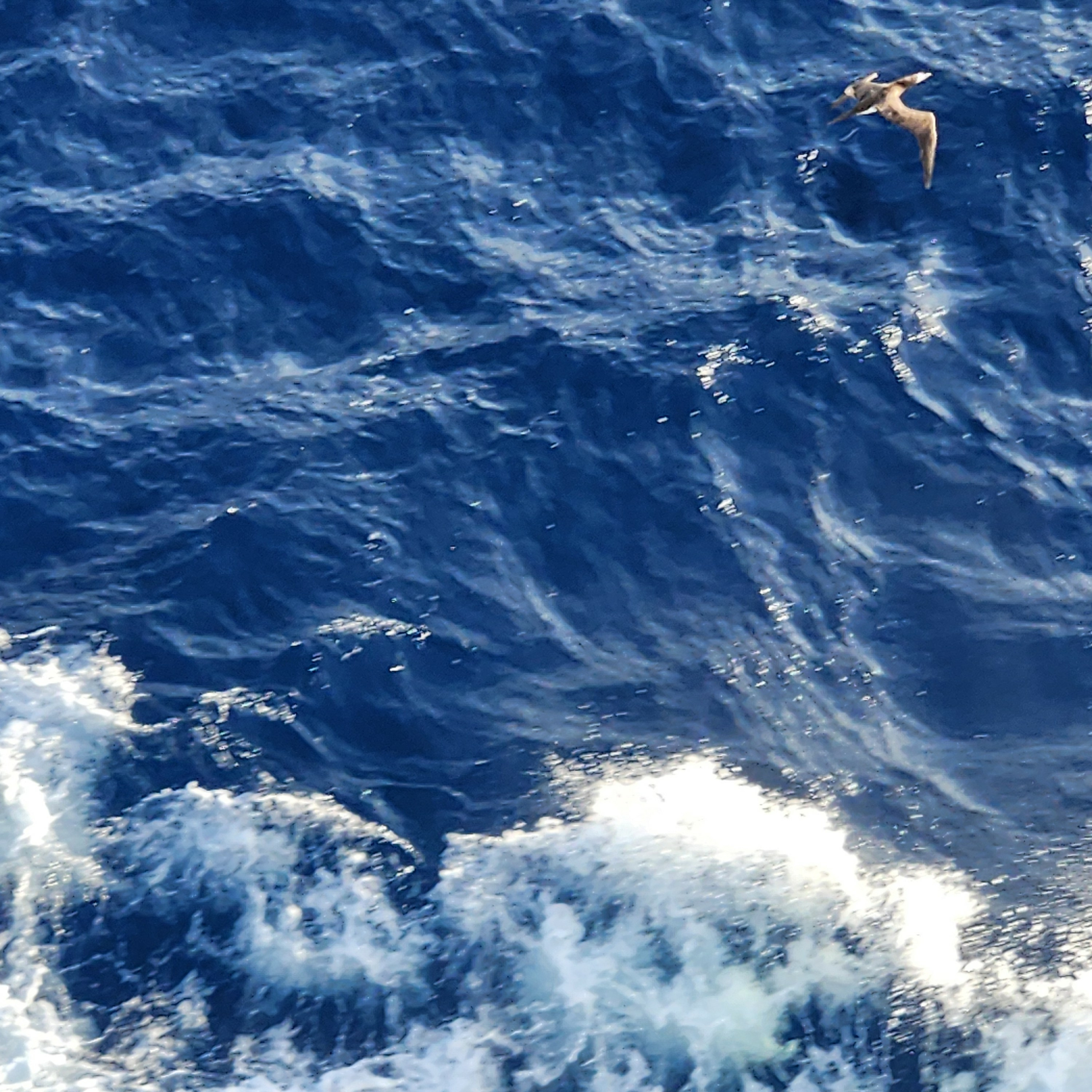 Jason Sherwin\'s Short Talks and Sit Downs