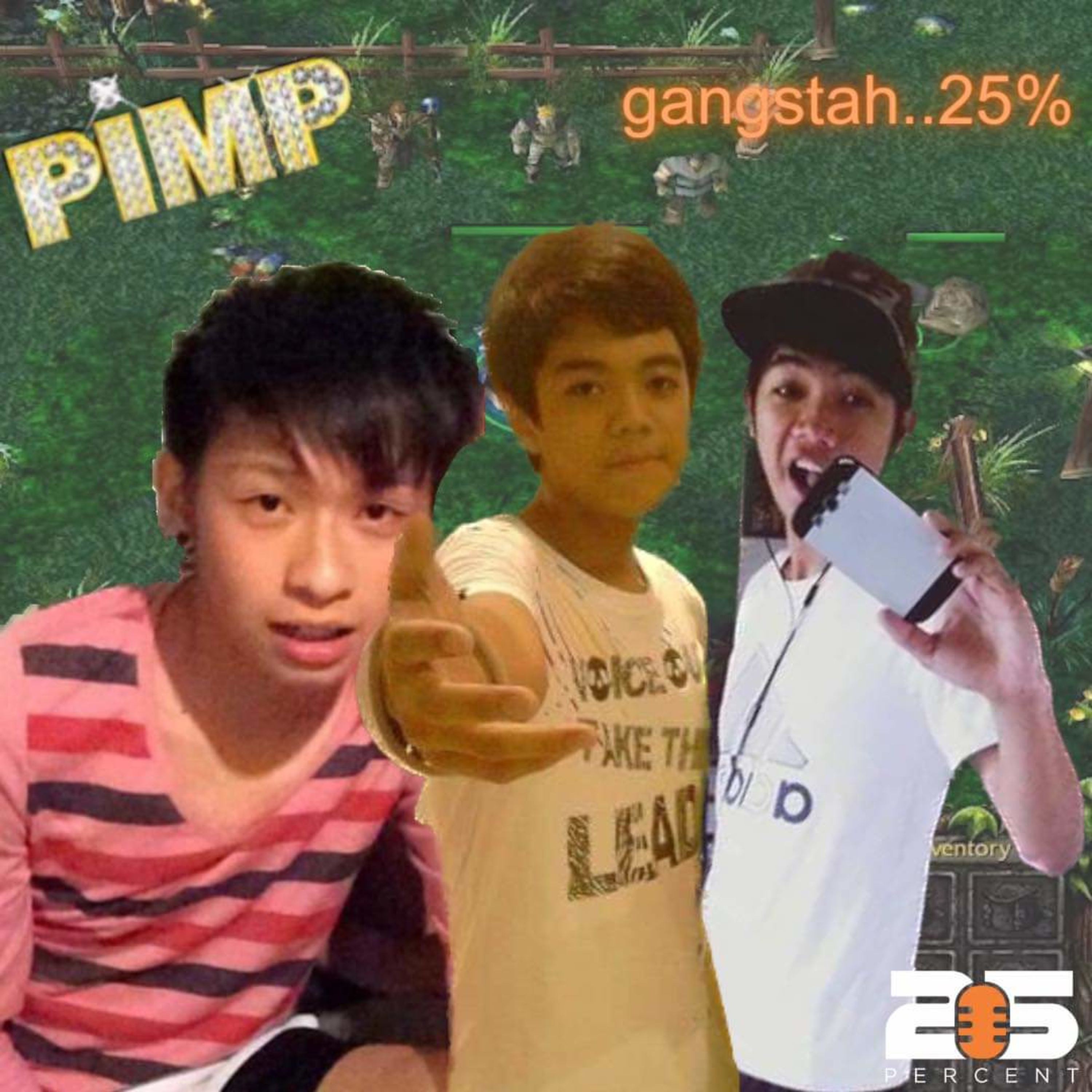 25 Percent