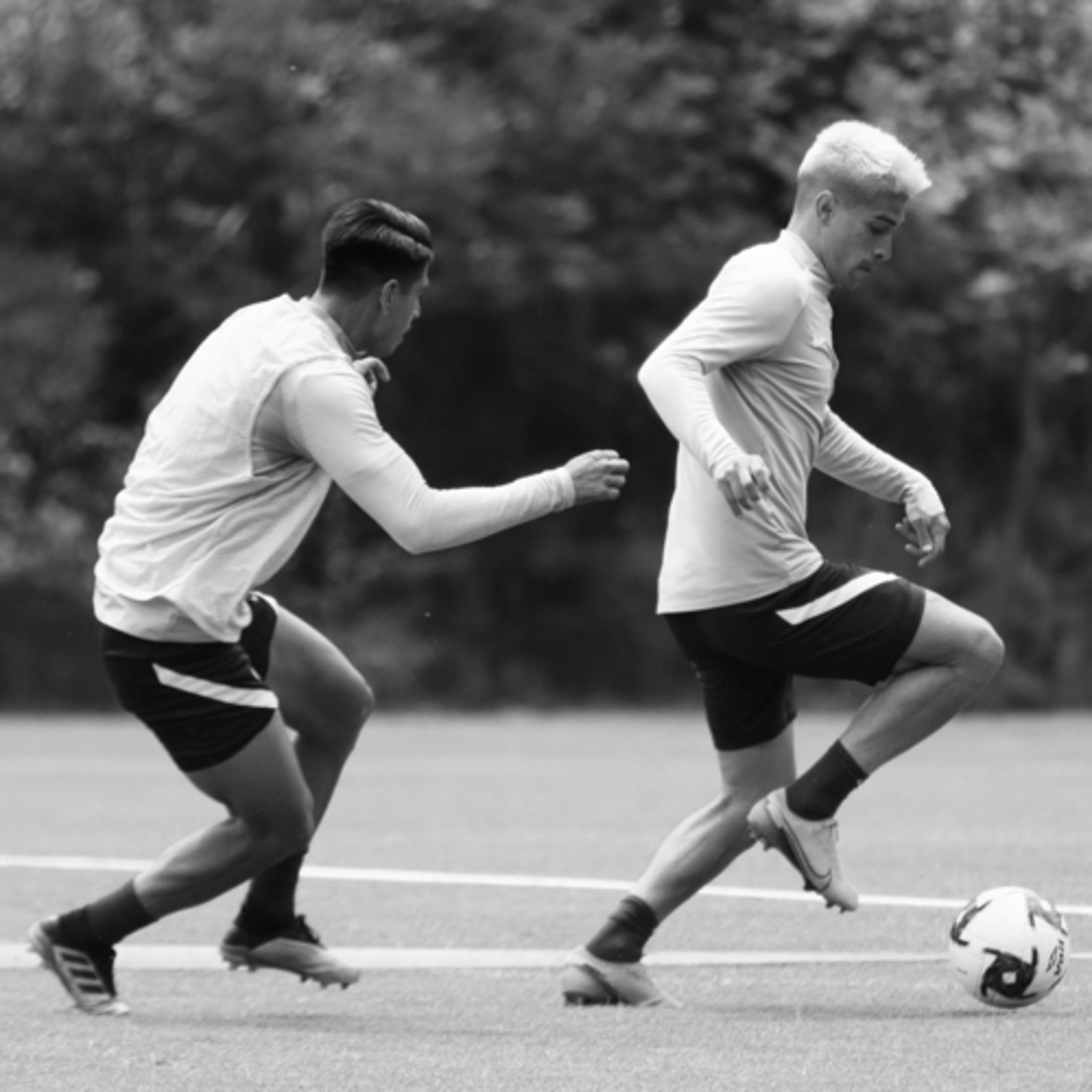 J A I R T E N O R I O