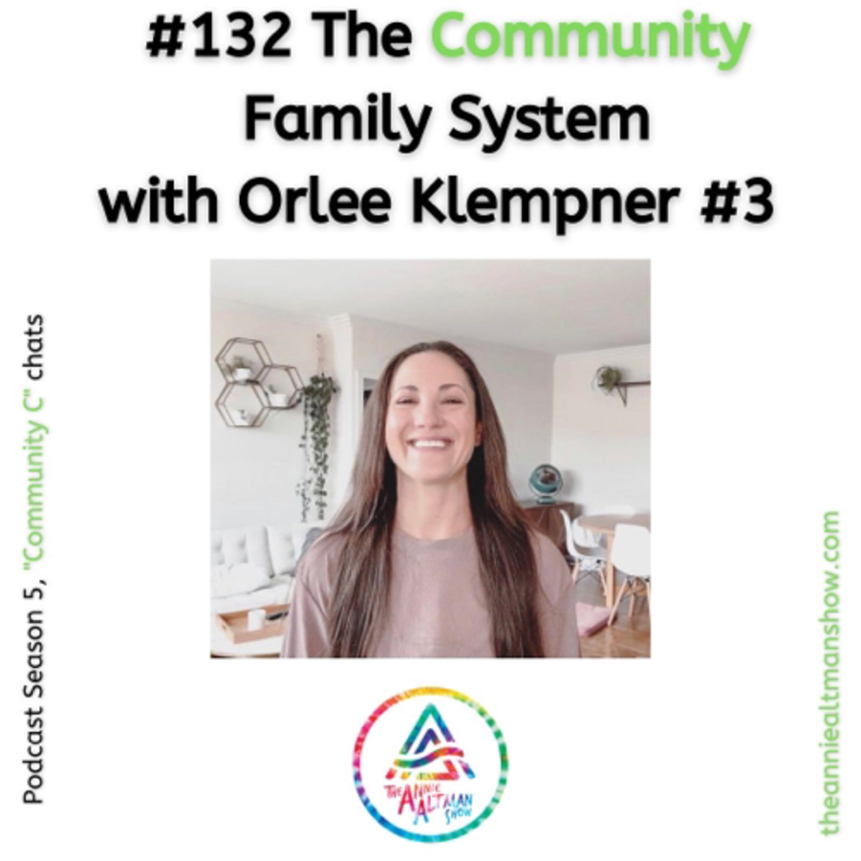 132. The Community Family System with Orlee Klempner #3 episode artwork