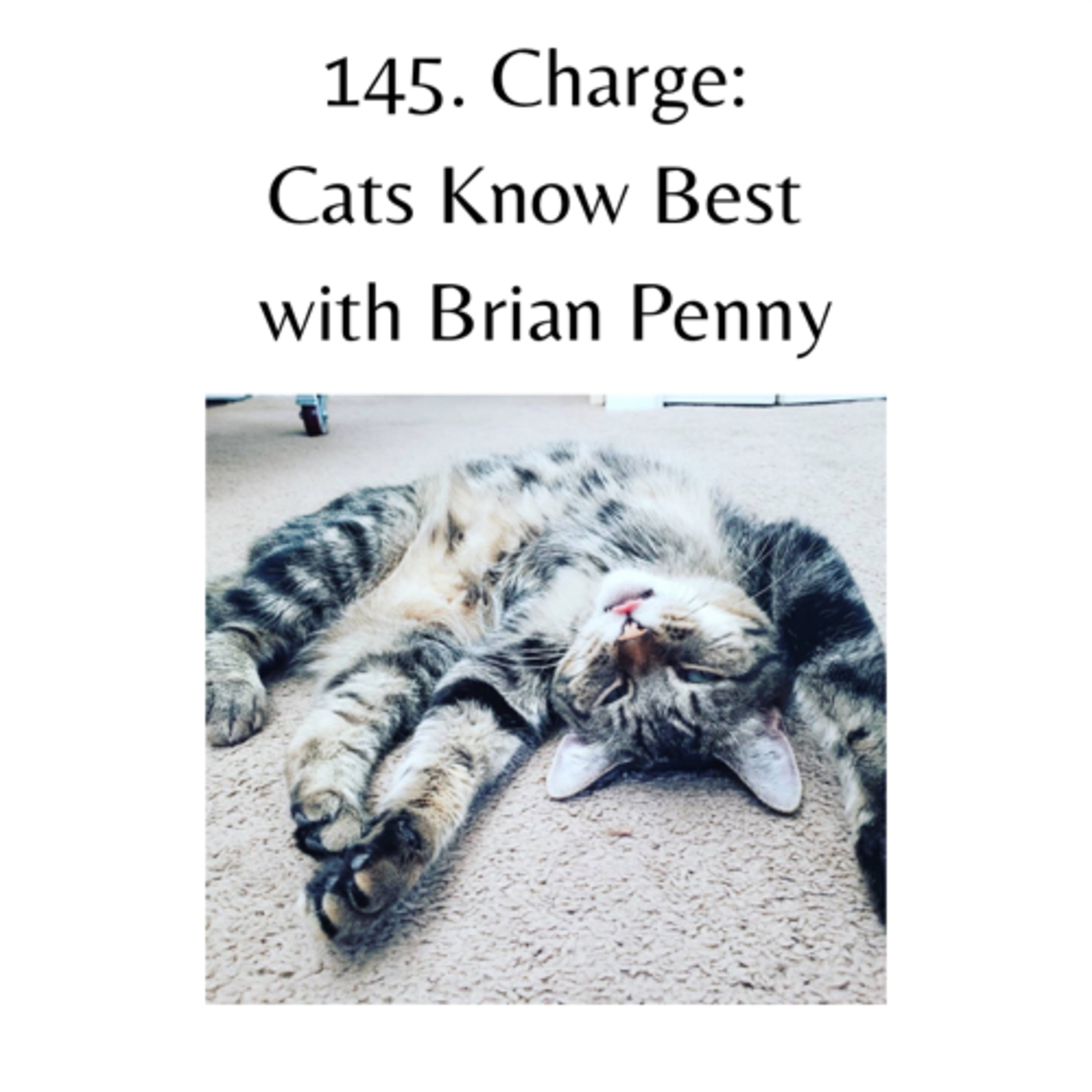 145. Charge: Cats Know Best with Brian Penny episode artwork