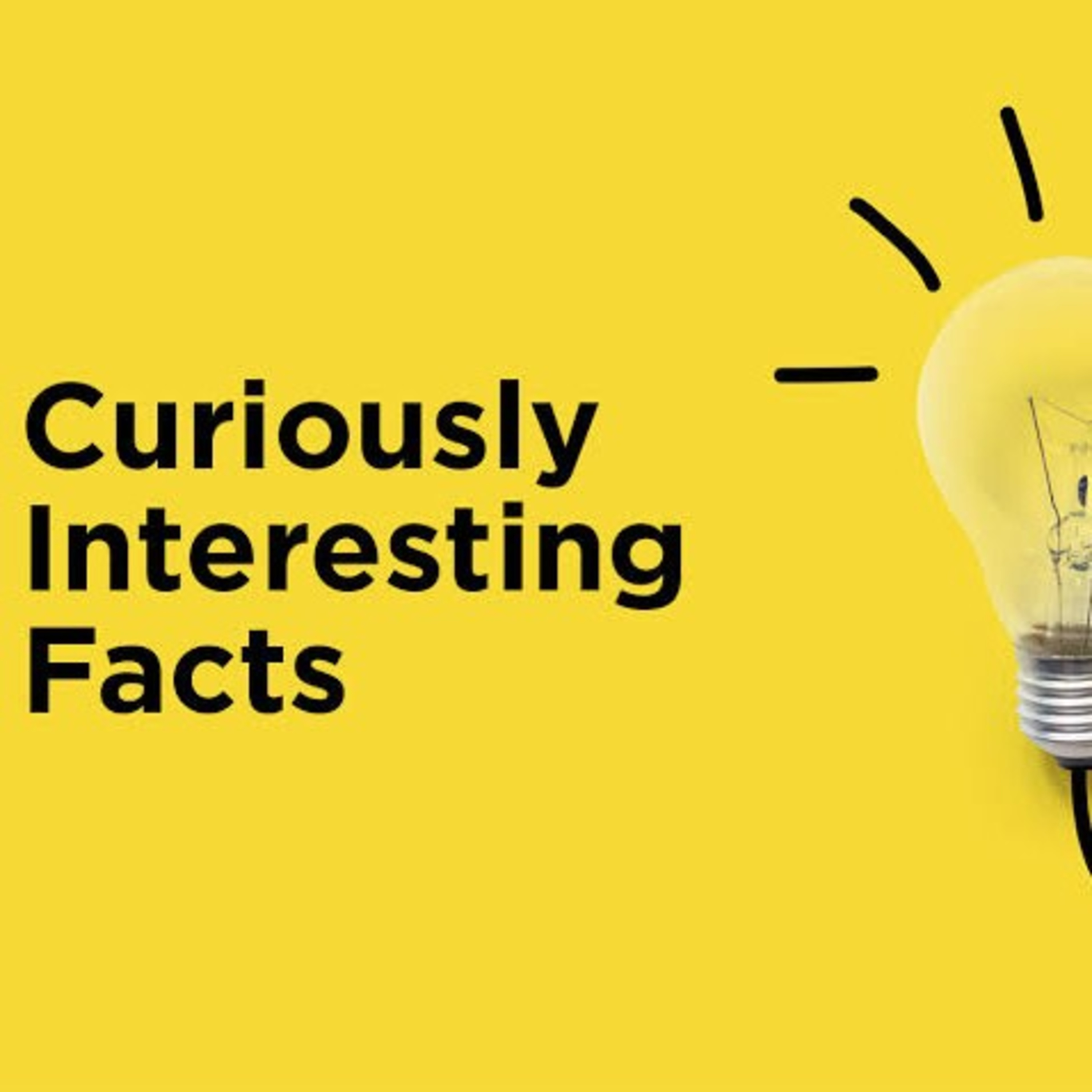 EP 07 - Interesting Facts episode artwork