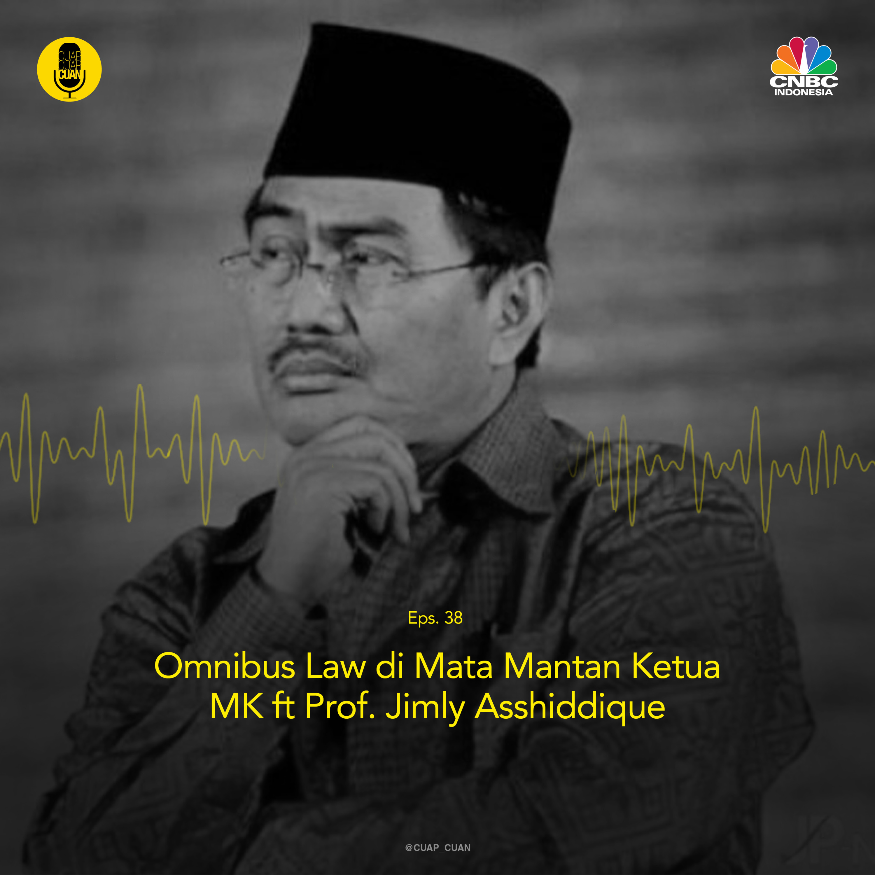 Omnibus Law di Mata Mantan Ketua MK ft Prof. Jimly Asshiddique episode artwork