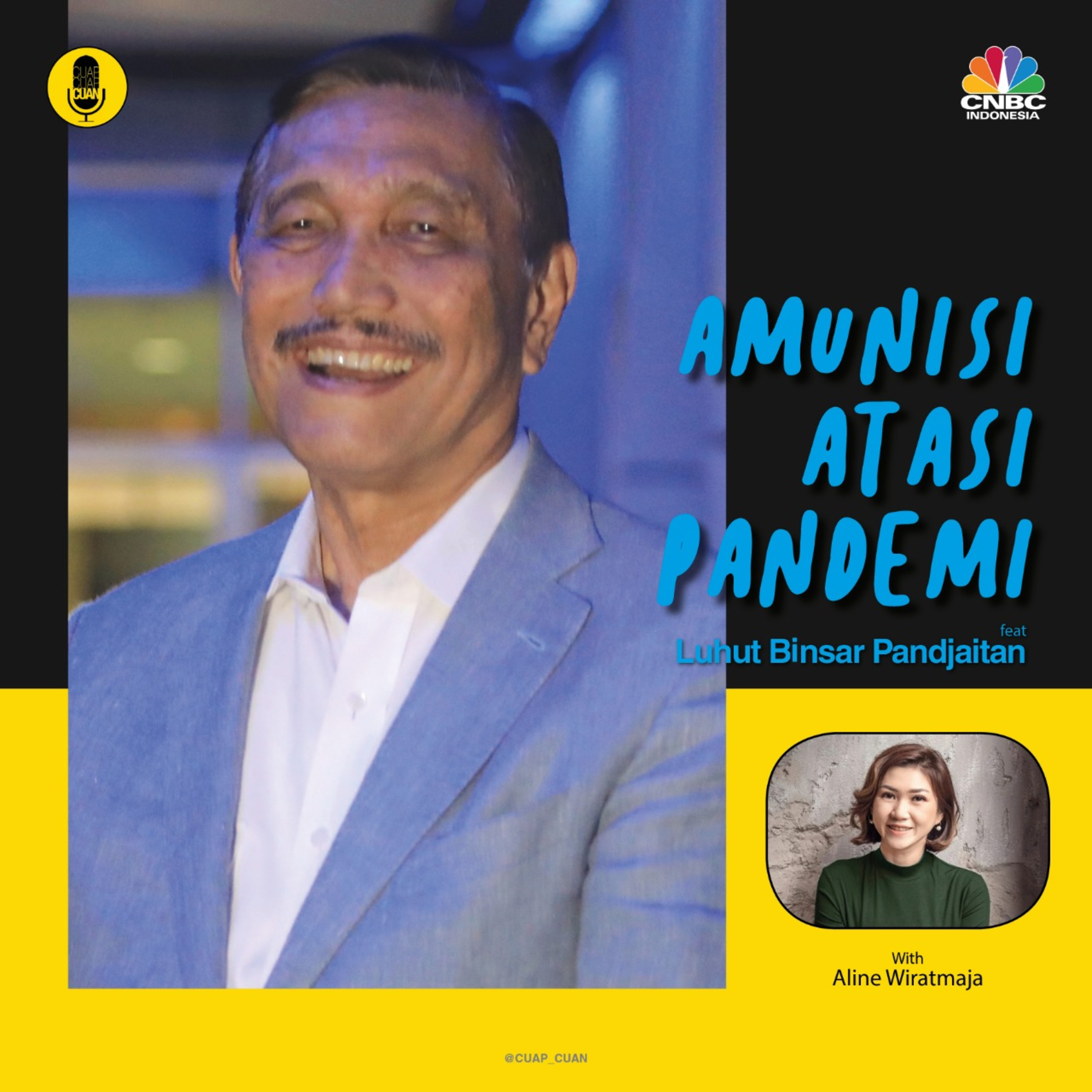 Amunisi Atasi Pandemi ft Luhut Binsar Pandjaitan episode artwork