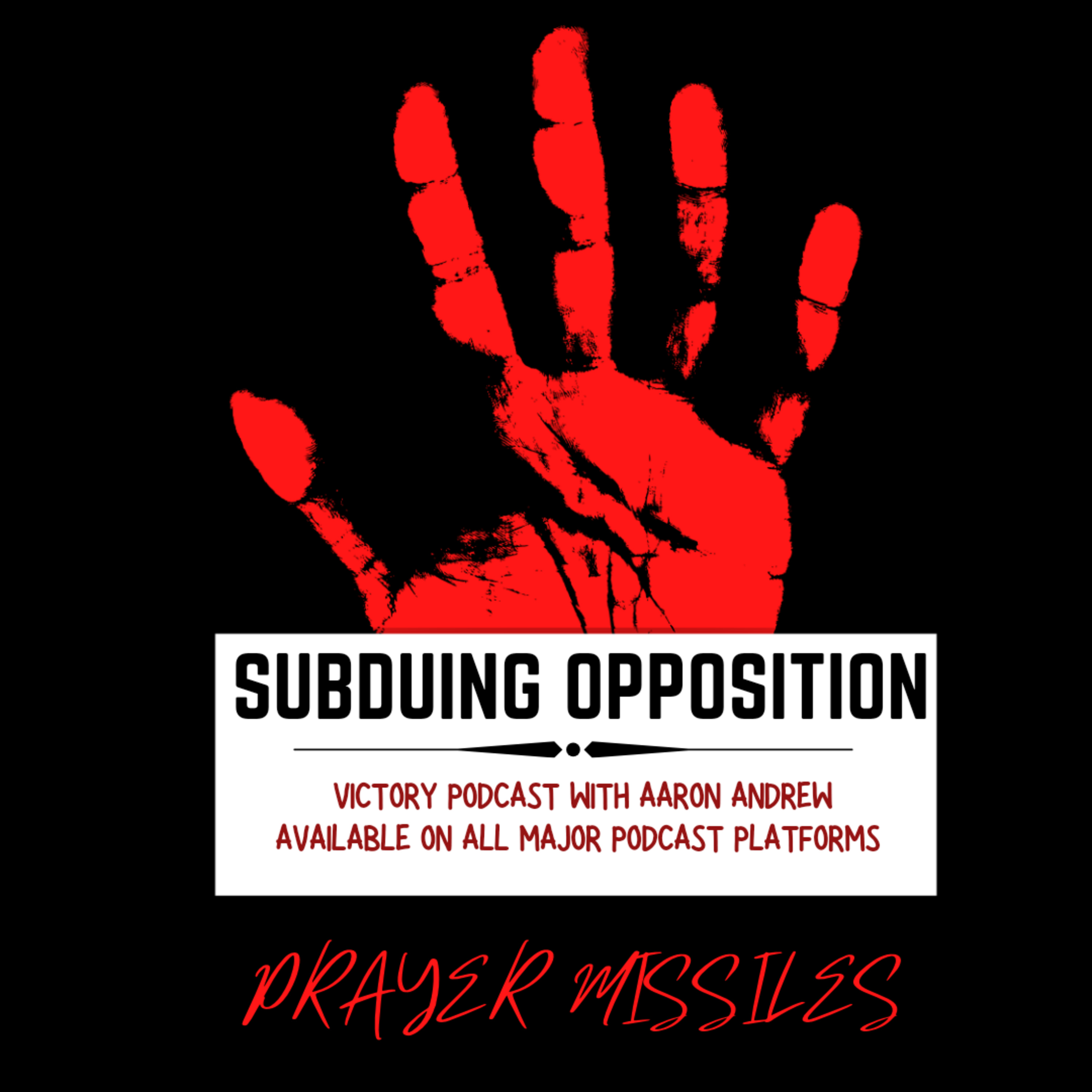 Subduing Complex Situations [Guest Appearance Edition] episode artwork