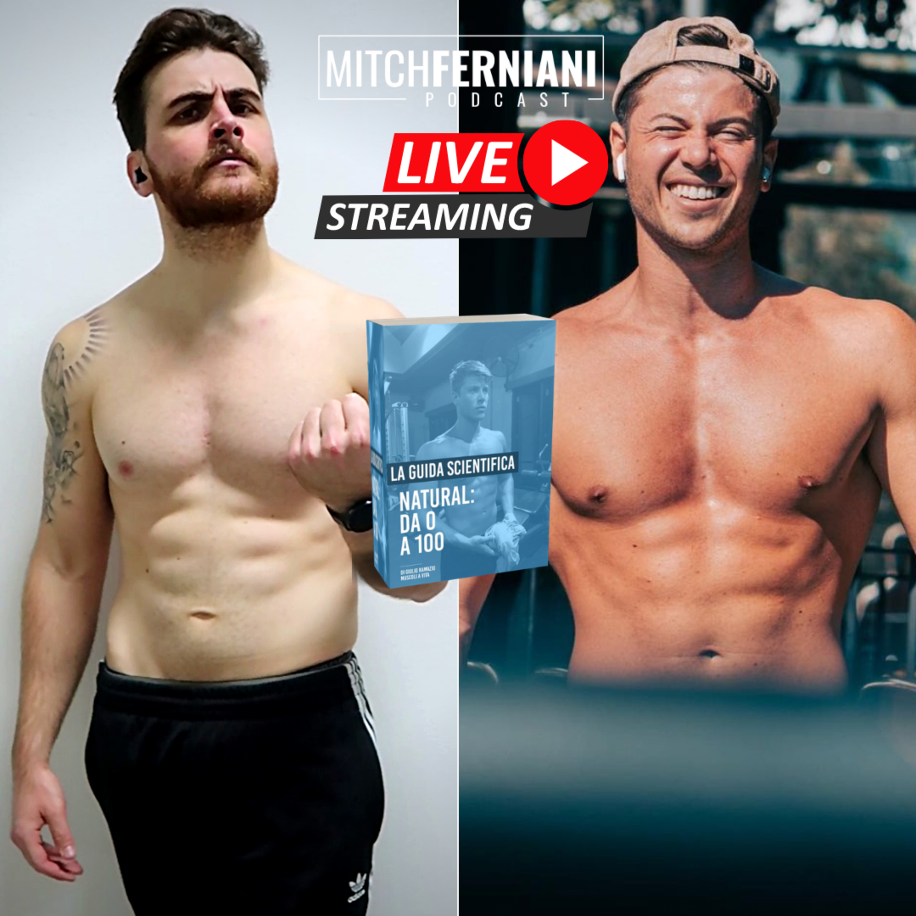 Mitch Ferniani Podcast