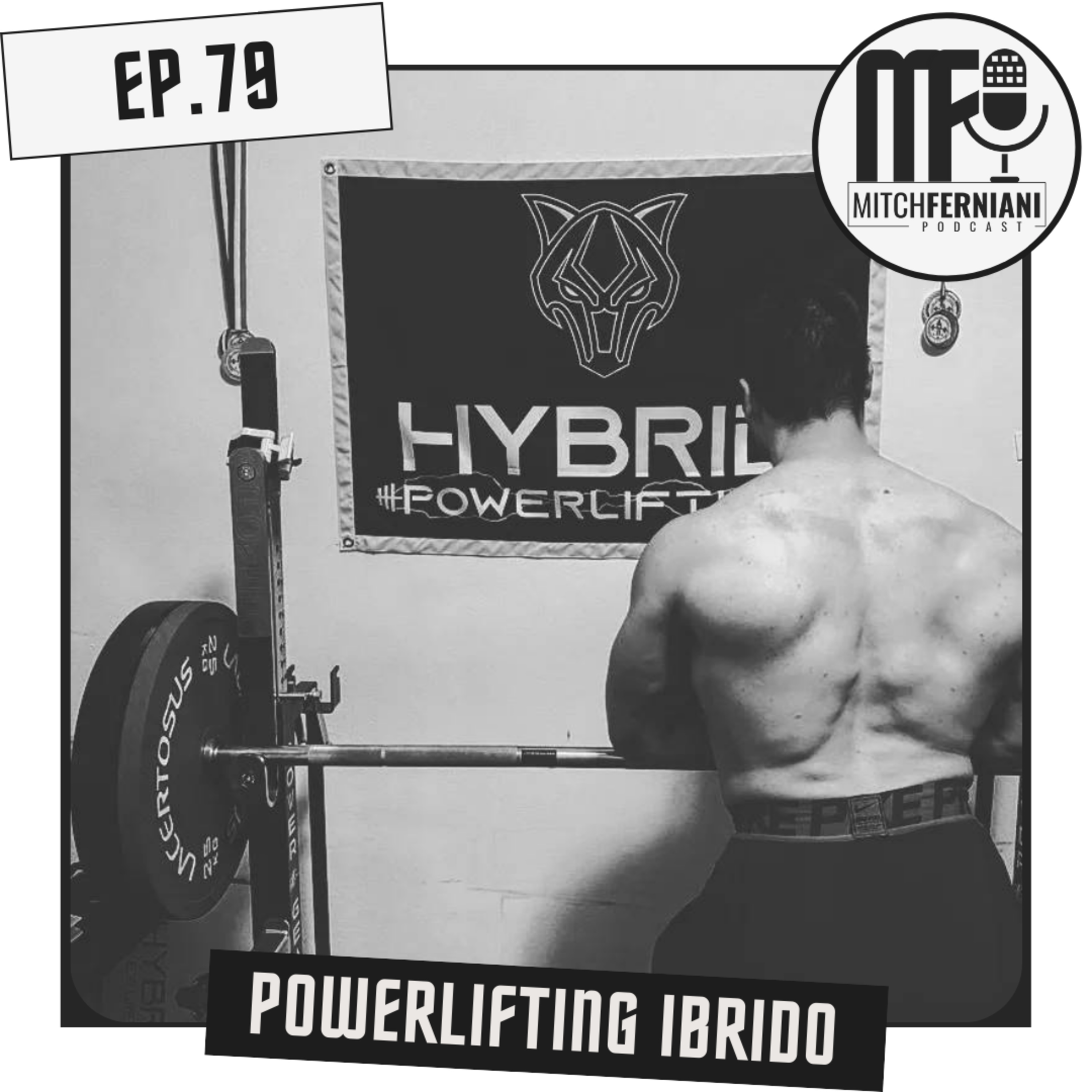 Mitch Ferniani Podcast