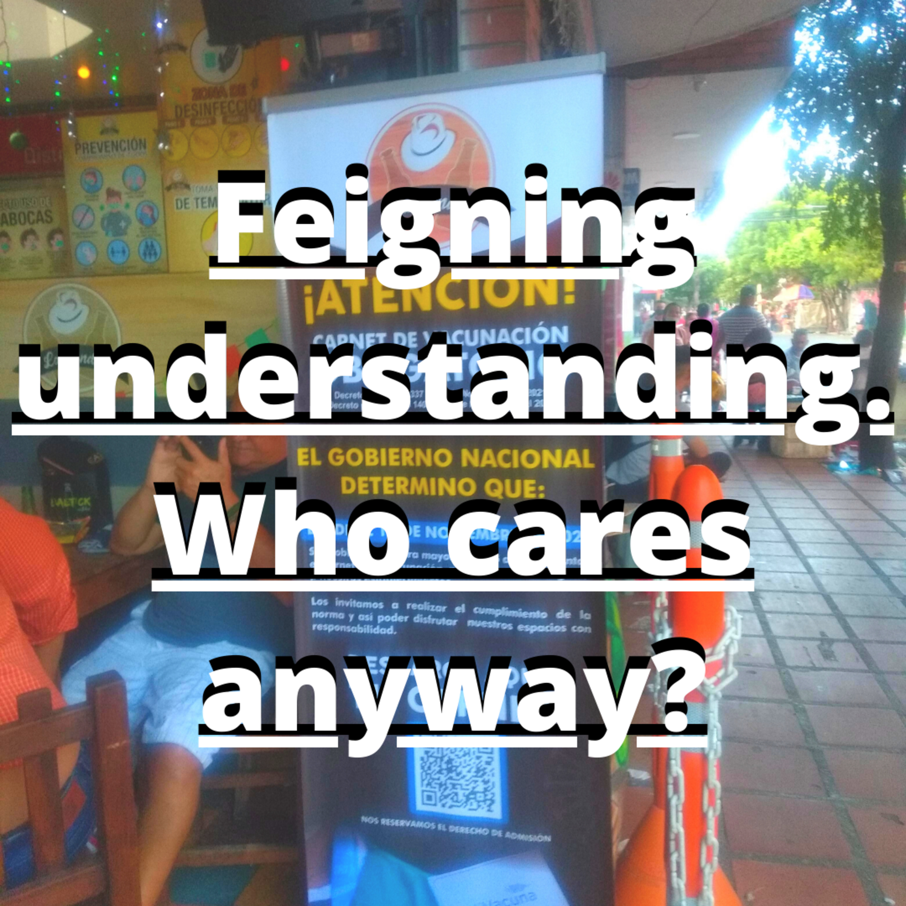 Audio blog: Feigning understanding. Who cares anyway? episode artwork