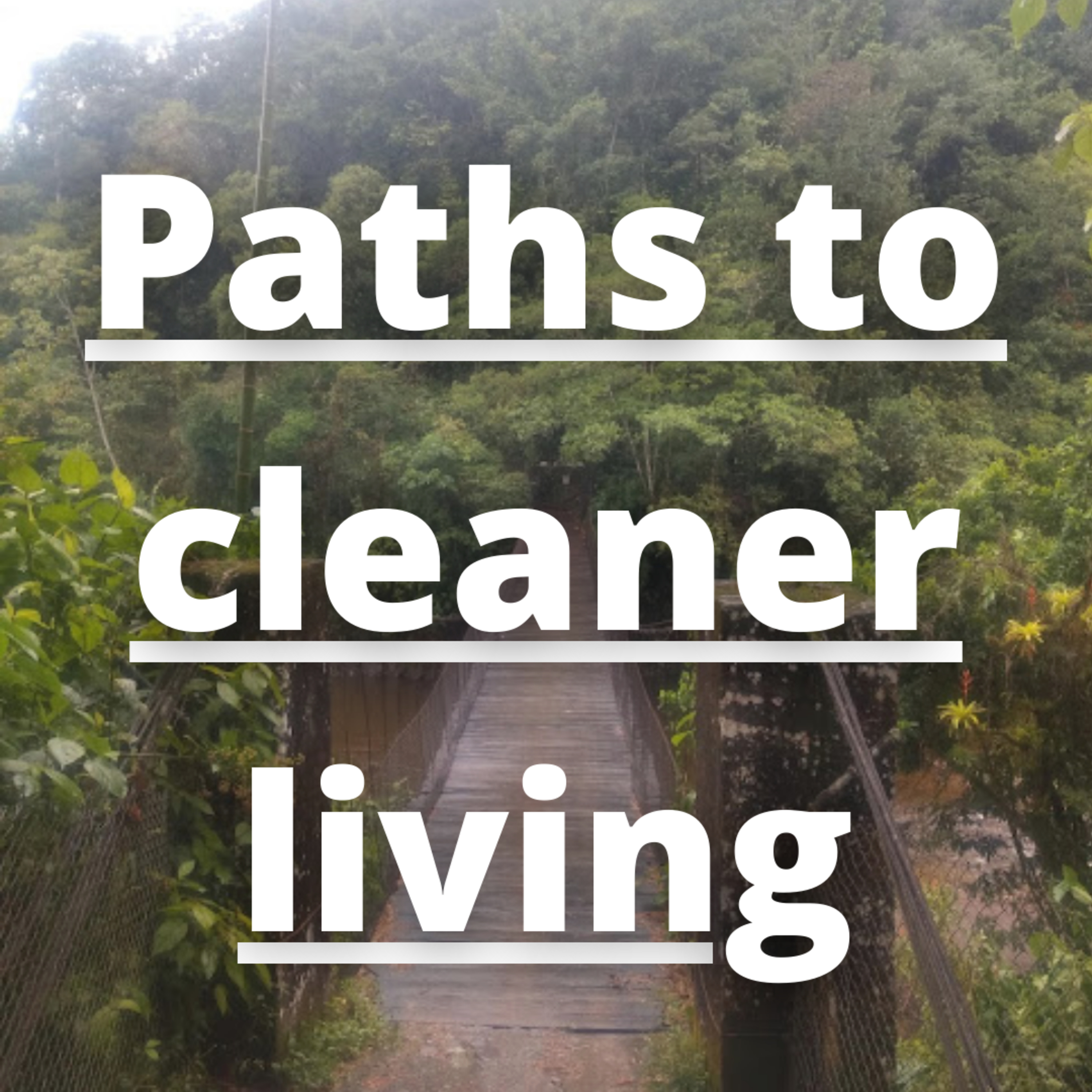 Audio blog: Paths to cleaner living episode artwork