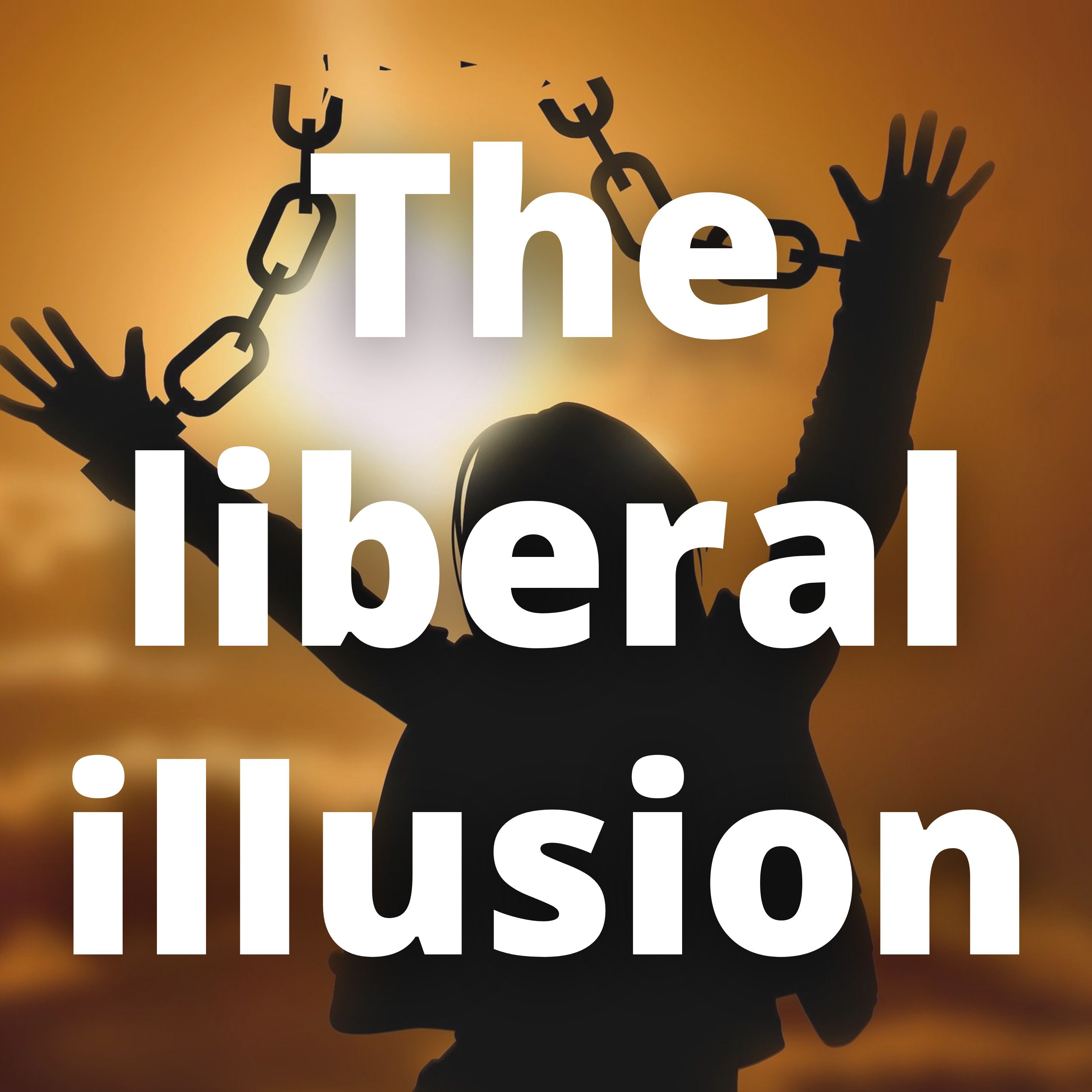 Audio blog: The liberal illusion episode artwork