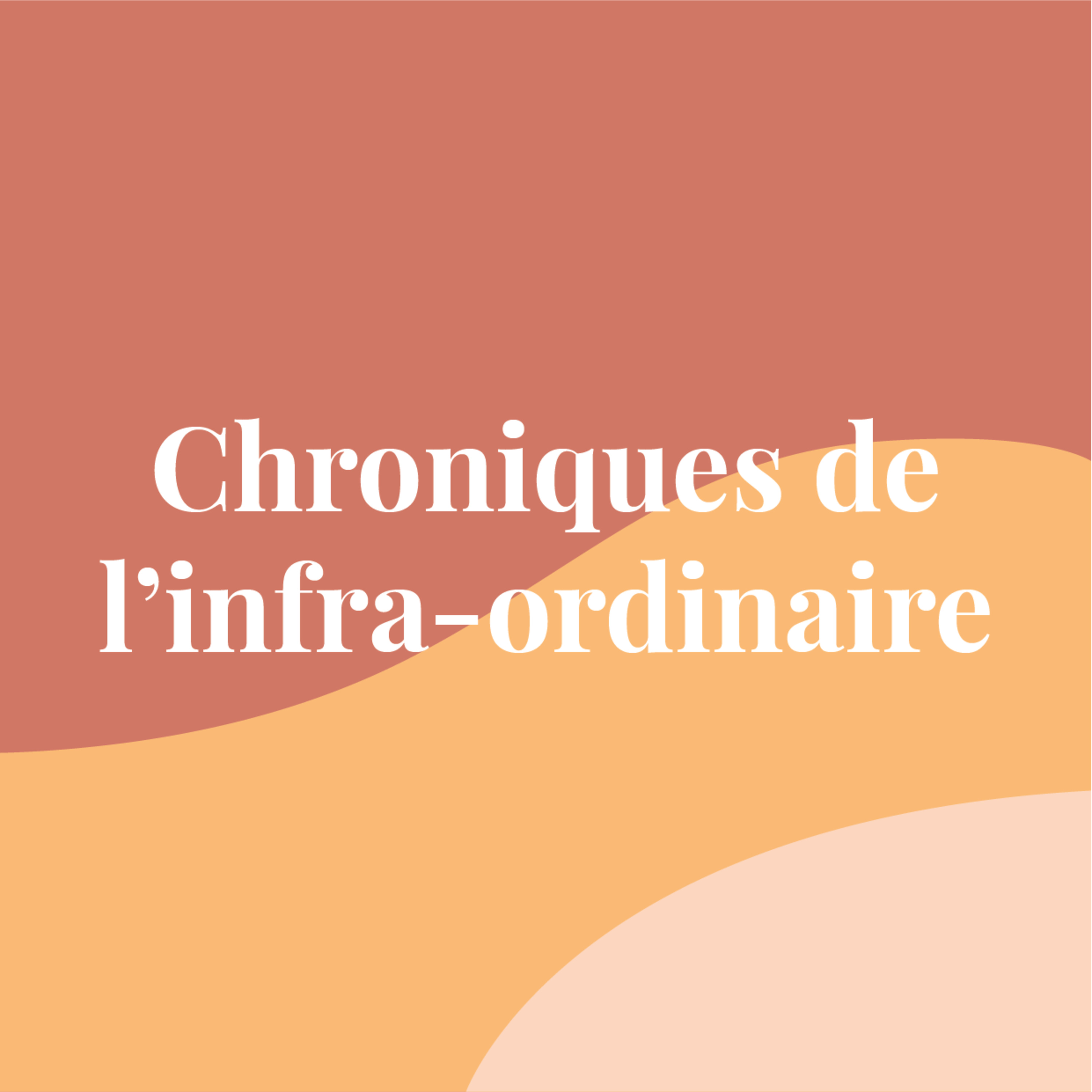 Chroniques de l\'infra-ordinaire