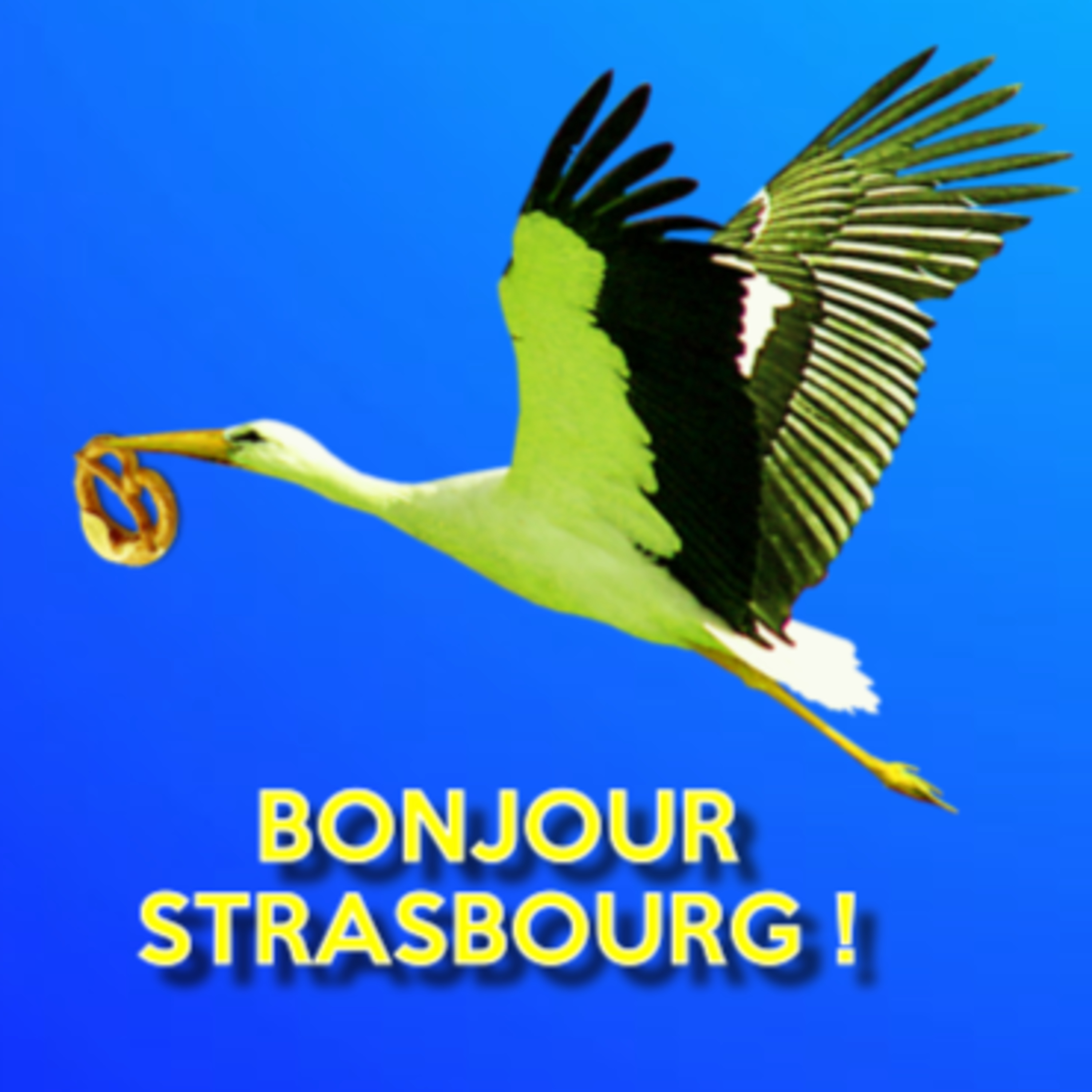 BONJOUR STRASBOURG