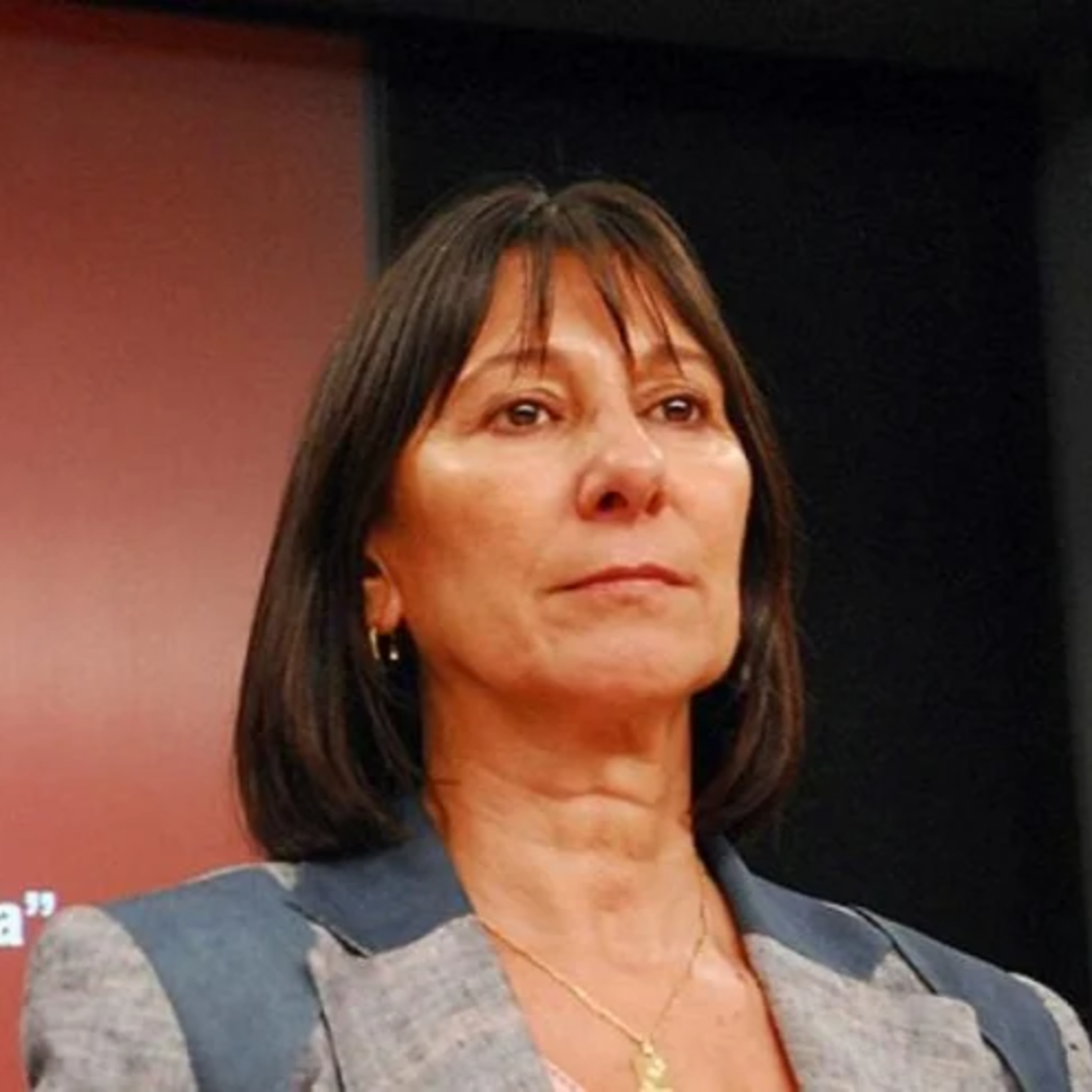 Felisa Miceli: "Hay un ritmo de gestión lenta de parte del Estado" episode artwork