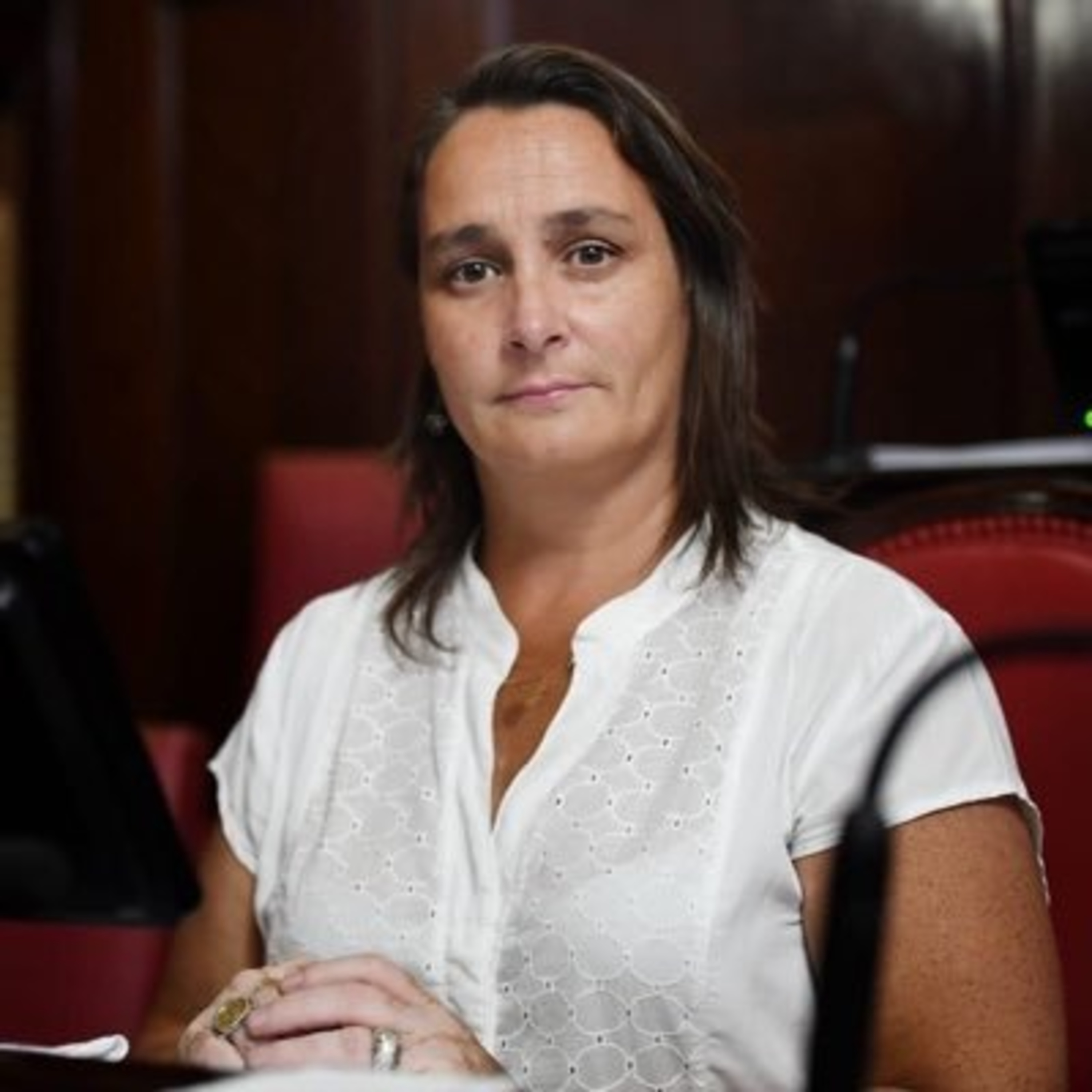 Lorena Mandagarán: "Este proyecto de ley viene a ponernos en igualdad de condiciones" episode artwork