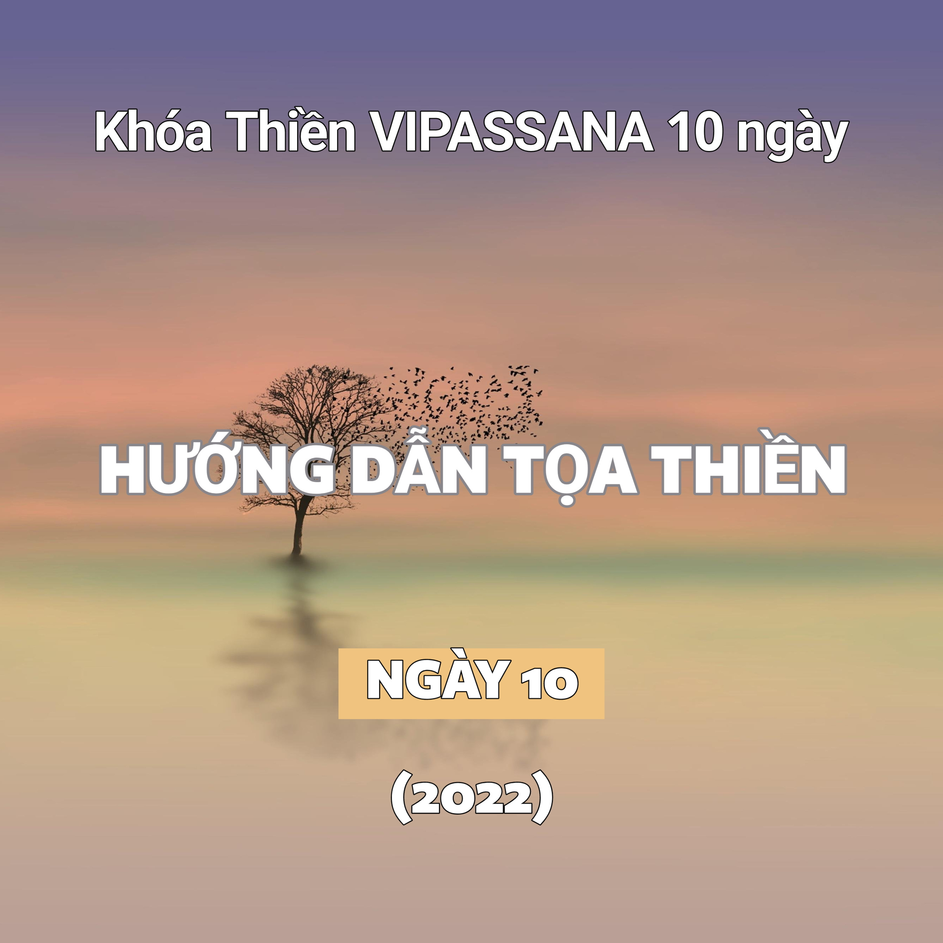 Ngày 10 | Khóa Thiền VIPASSANA 10 ngày episode artwork
