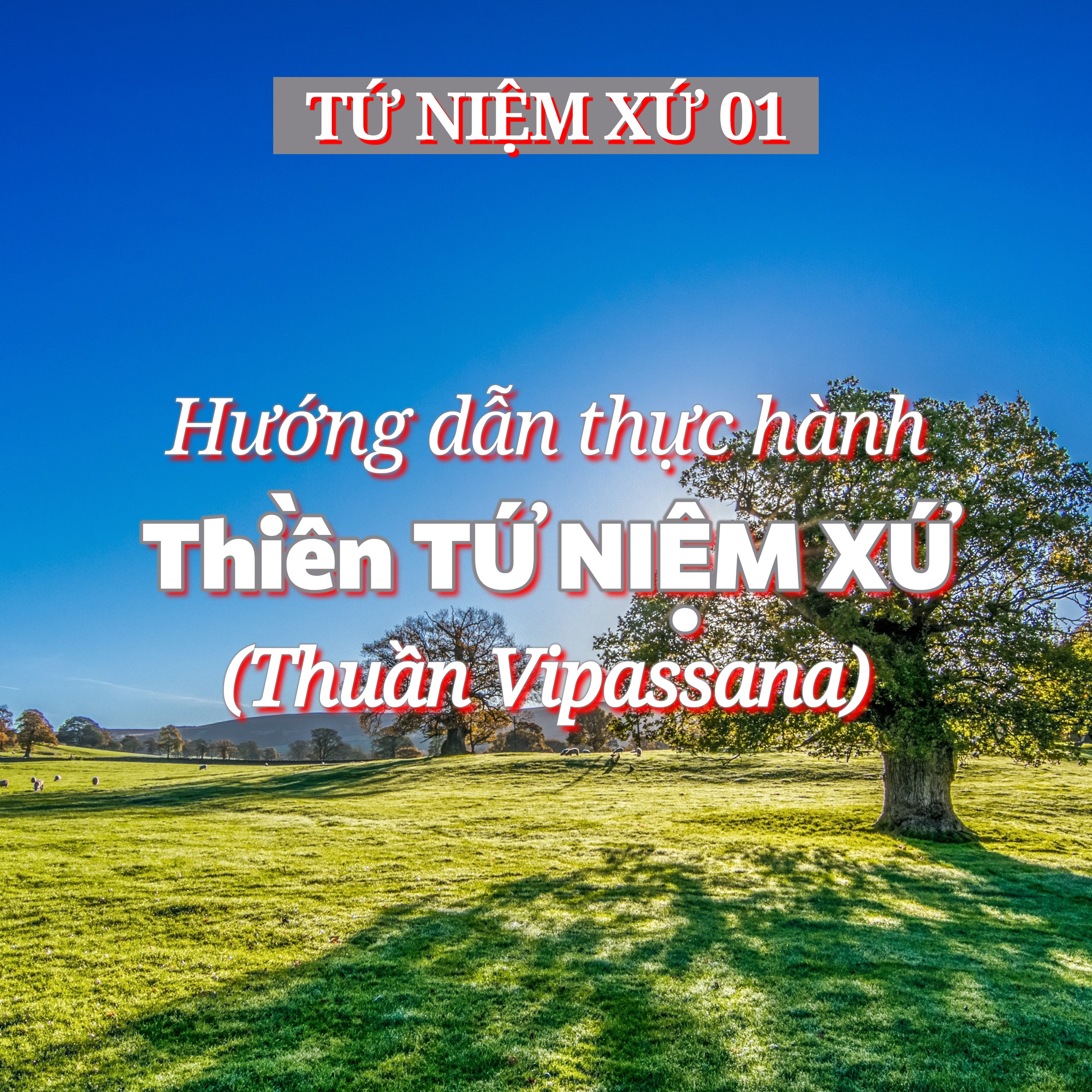 1/14. Hướng dẫn thực hành Thiền TỨ NIỆM XỨ - ĐĐ. Thích Toàn Thiện episode artwork