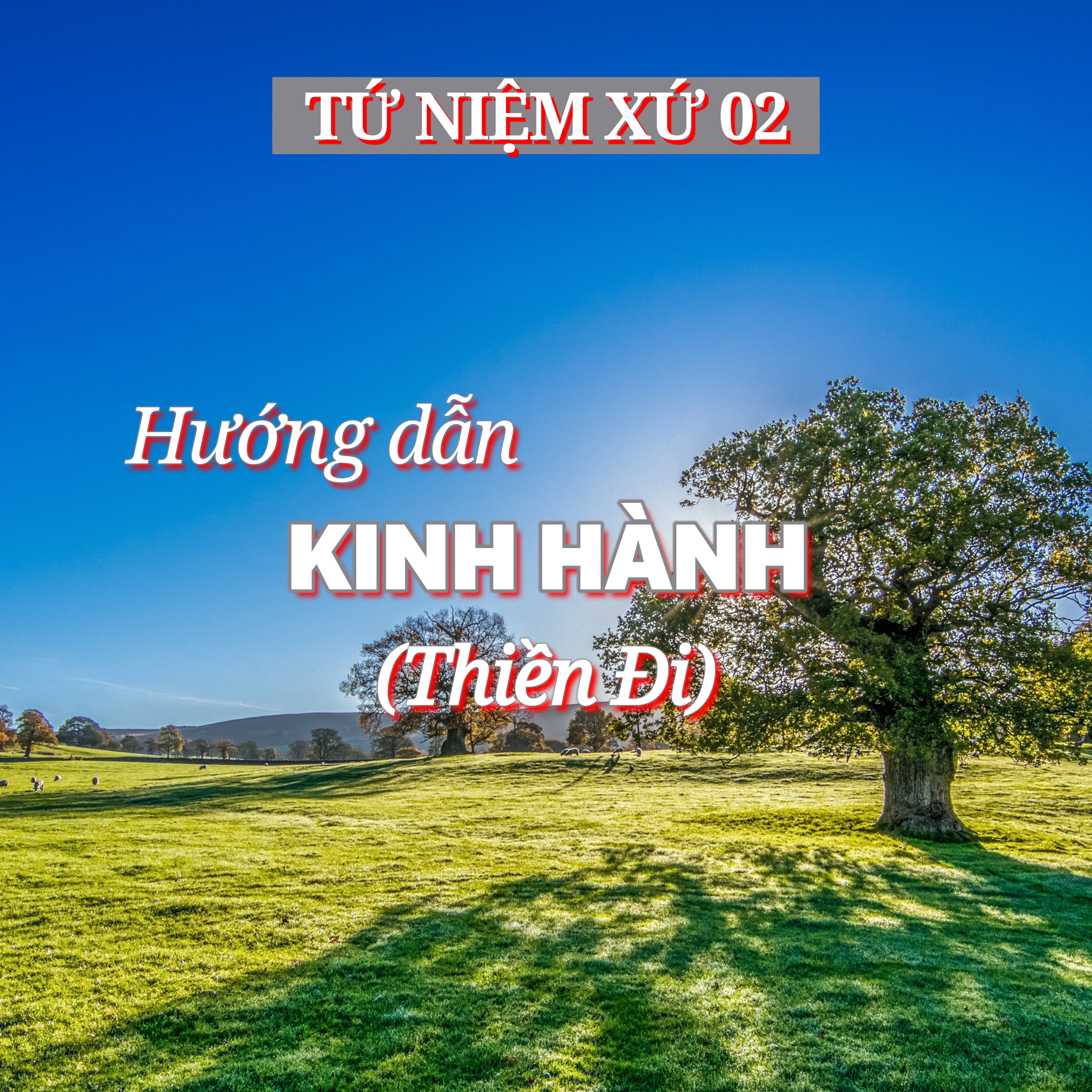 2/14. Hướng dẫn KINH HÀNH (Thiền Đi) - ĐĐ. Thích Toàn Thiện episode artwork