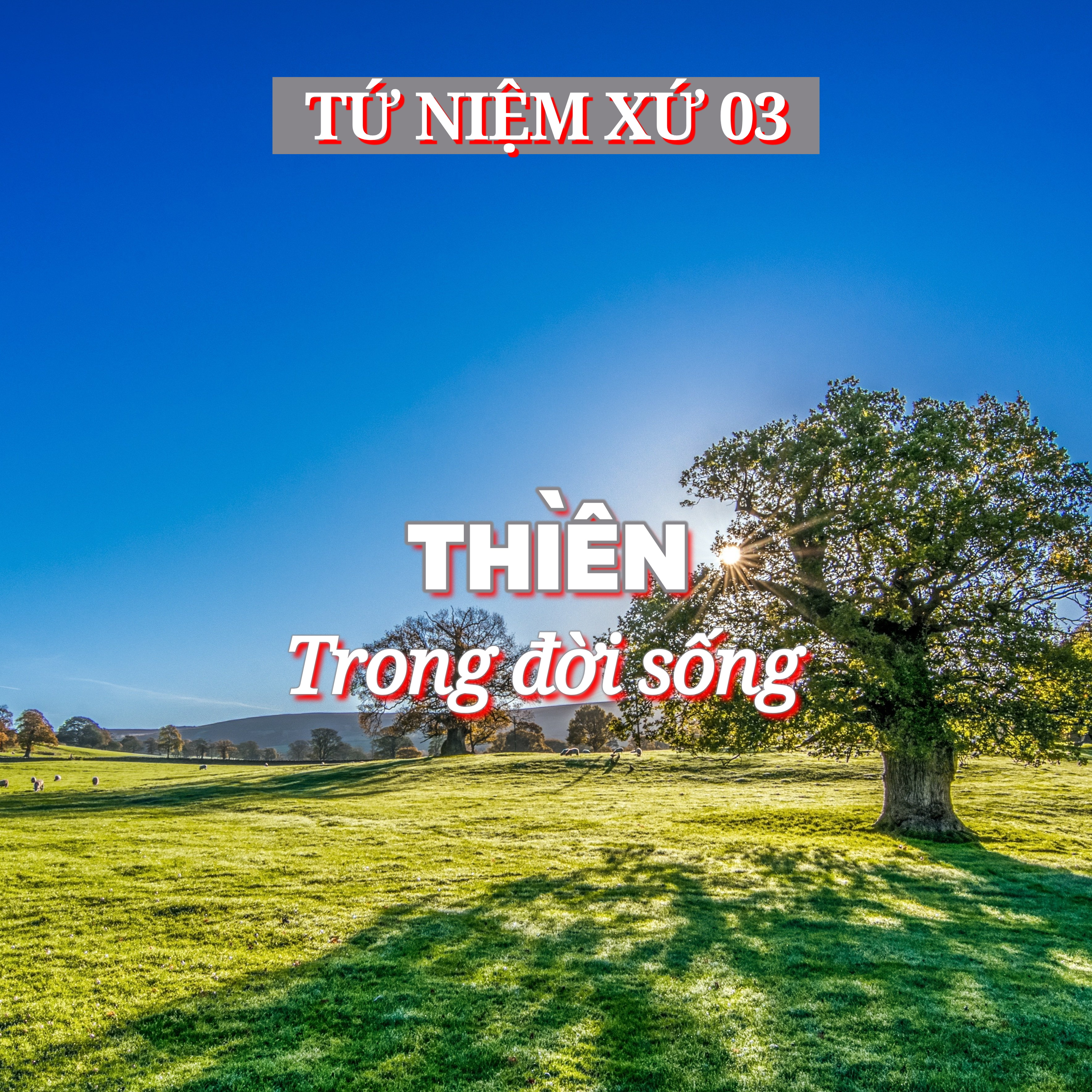 3/14. THIỀN trong đời sống - ĐĐ. Thích Toàn Thiện episode artwork