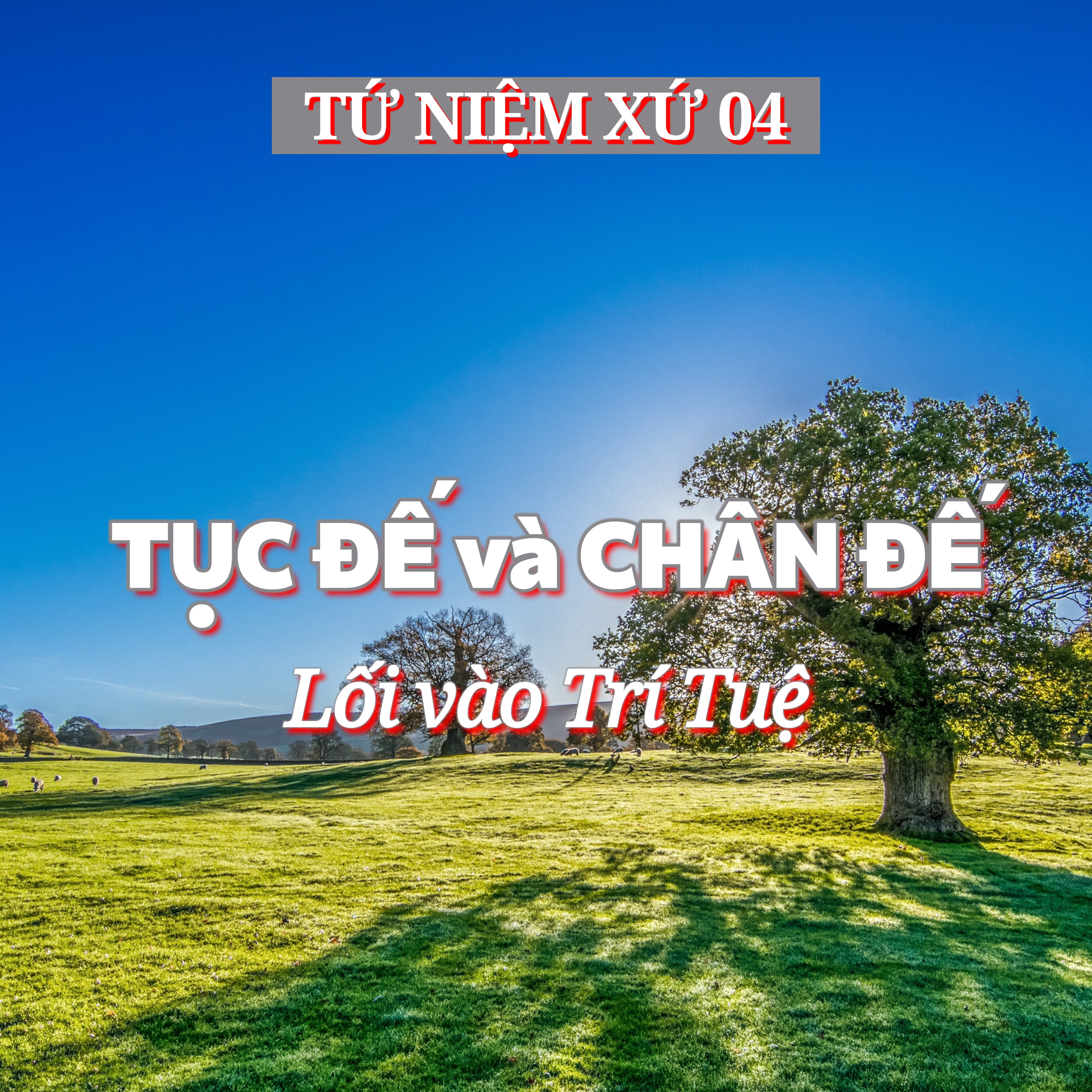 4/14. TỤC ĐẾ và CHÂN ĐẾ - Lối vào Trí Tuệ - ĐĐ. Thích Toàn Thiện episode artwork