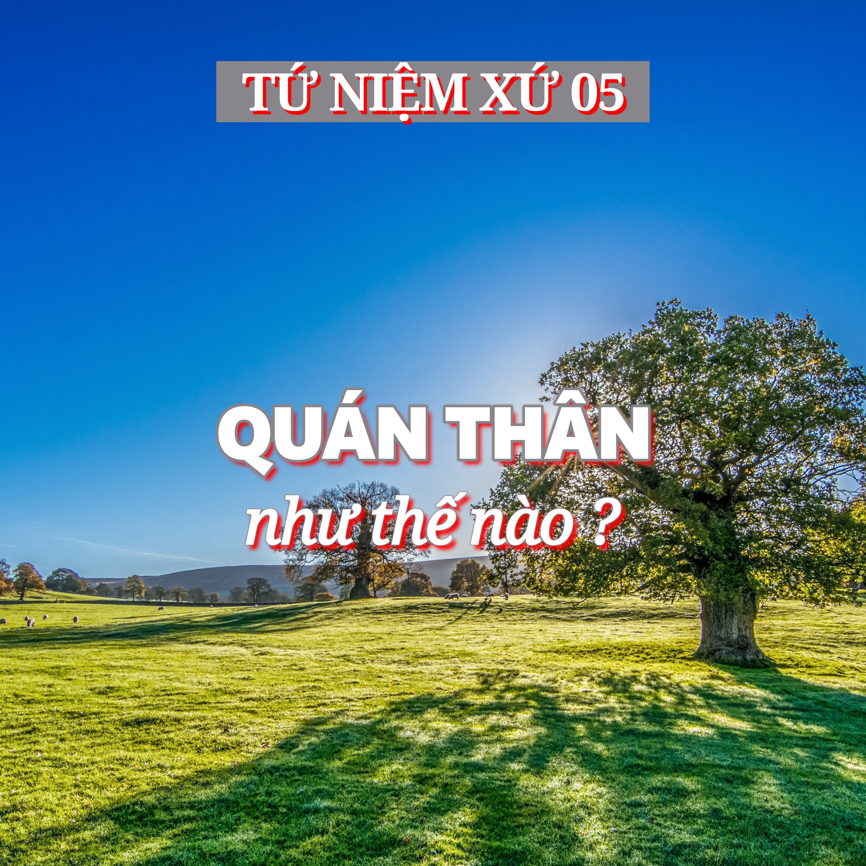 5/14. QUÁN THÂN như thế nào ? - ĐĐ. Thích Toàn Thiện episode artwork