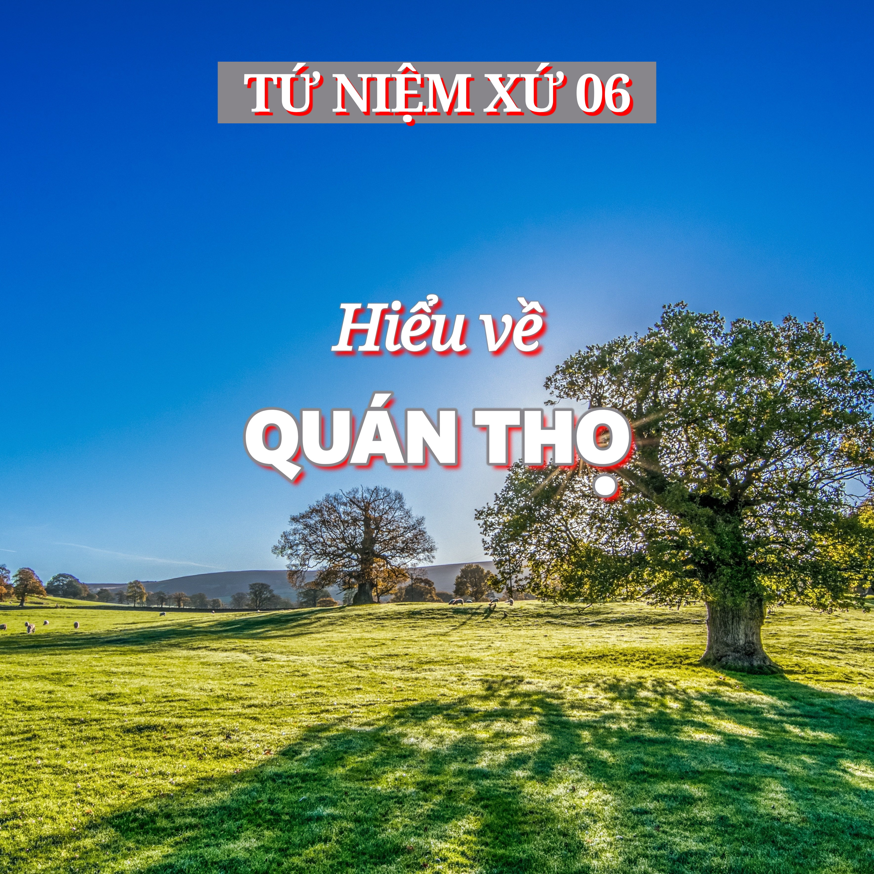 6/14. Hiểu về QUÁN THỌ - ĐĐ. Thích Toàn Thiện episode artwork