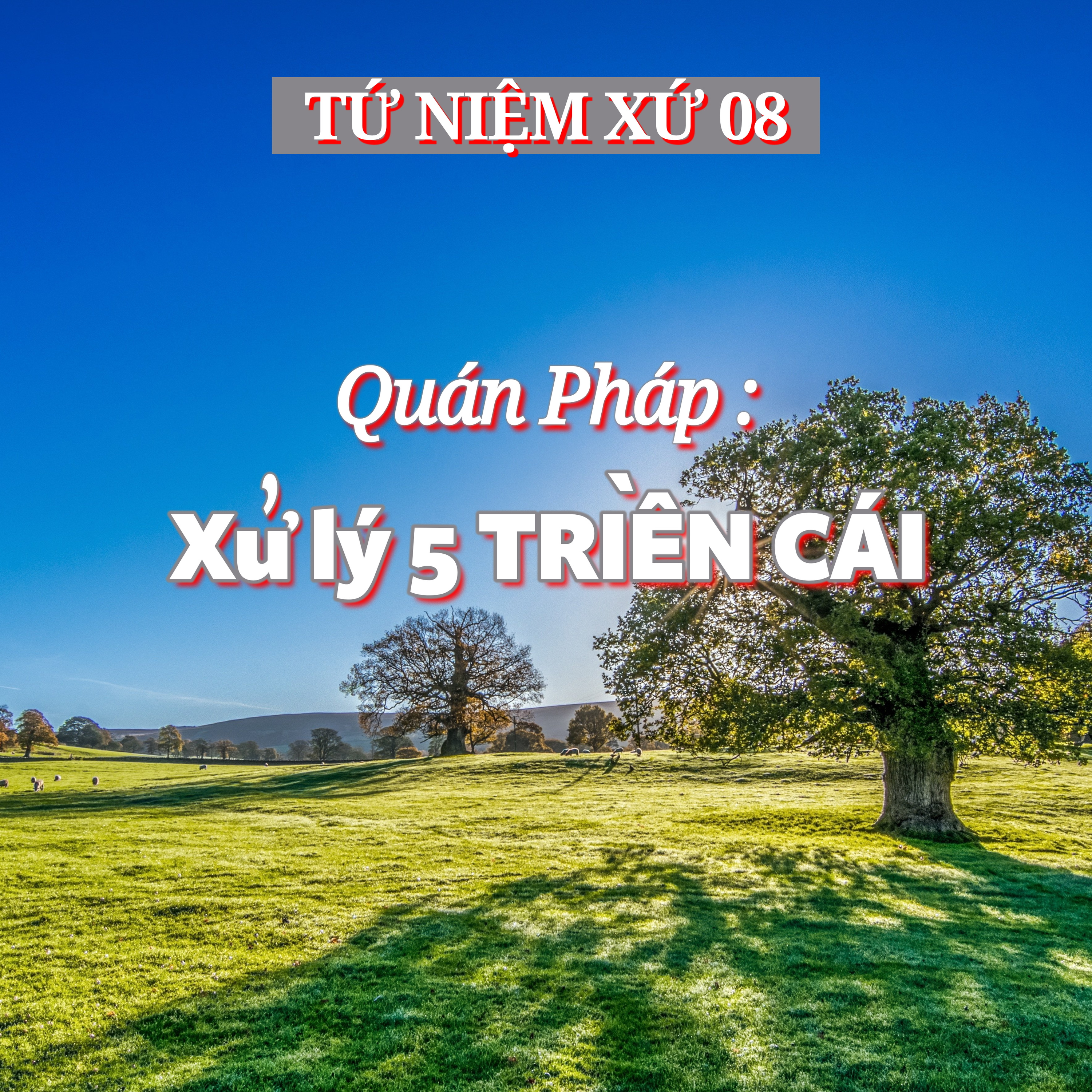 8/14. Quán Pháp | Xử lý 5 TRIỀN CÁI - ĐĐ. Thích Toàn Thiện episode artwork