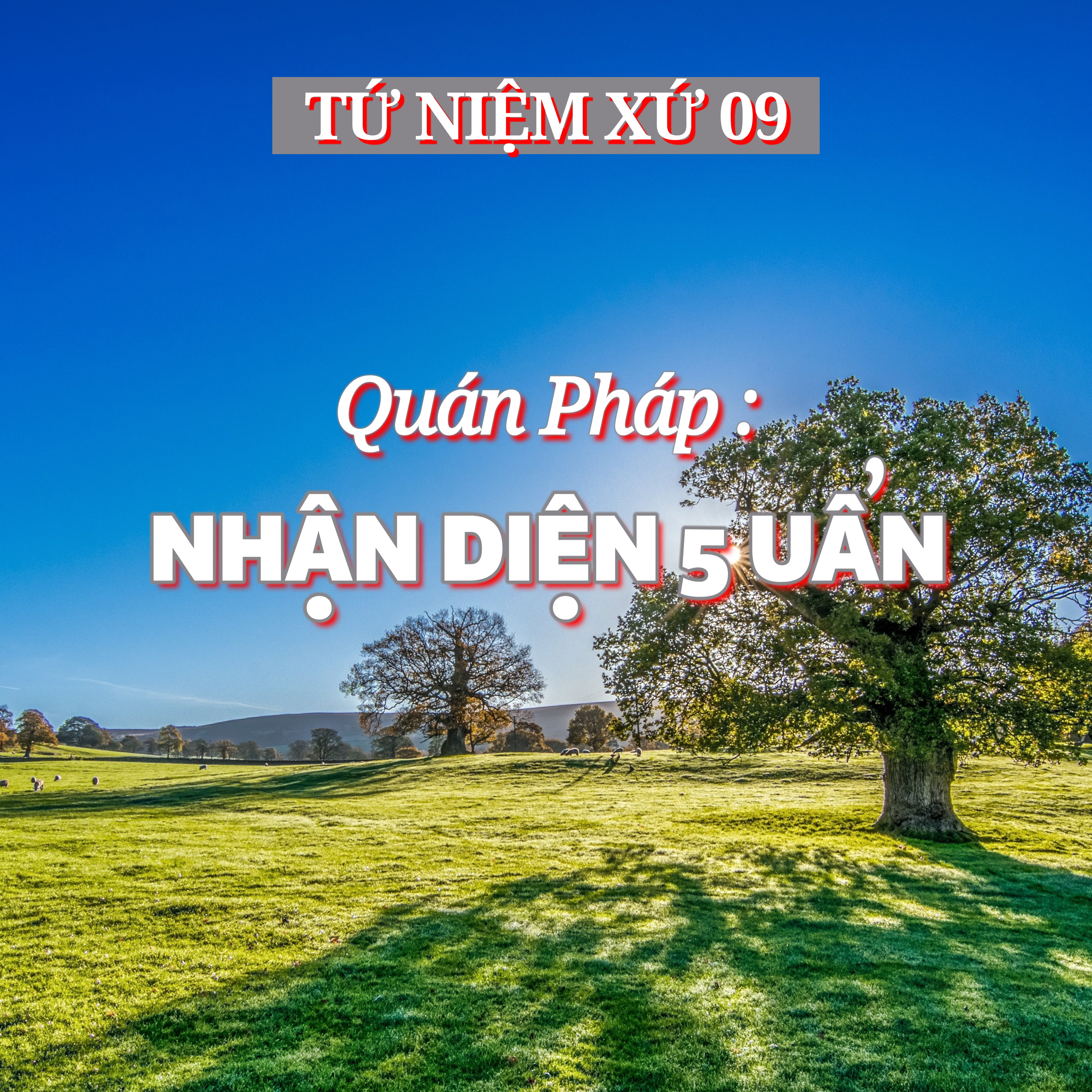 9/14. Quán Pháp | Nhận diện 5 UẨN - ĐĐ. Thích Toàn Thiện episode artwork