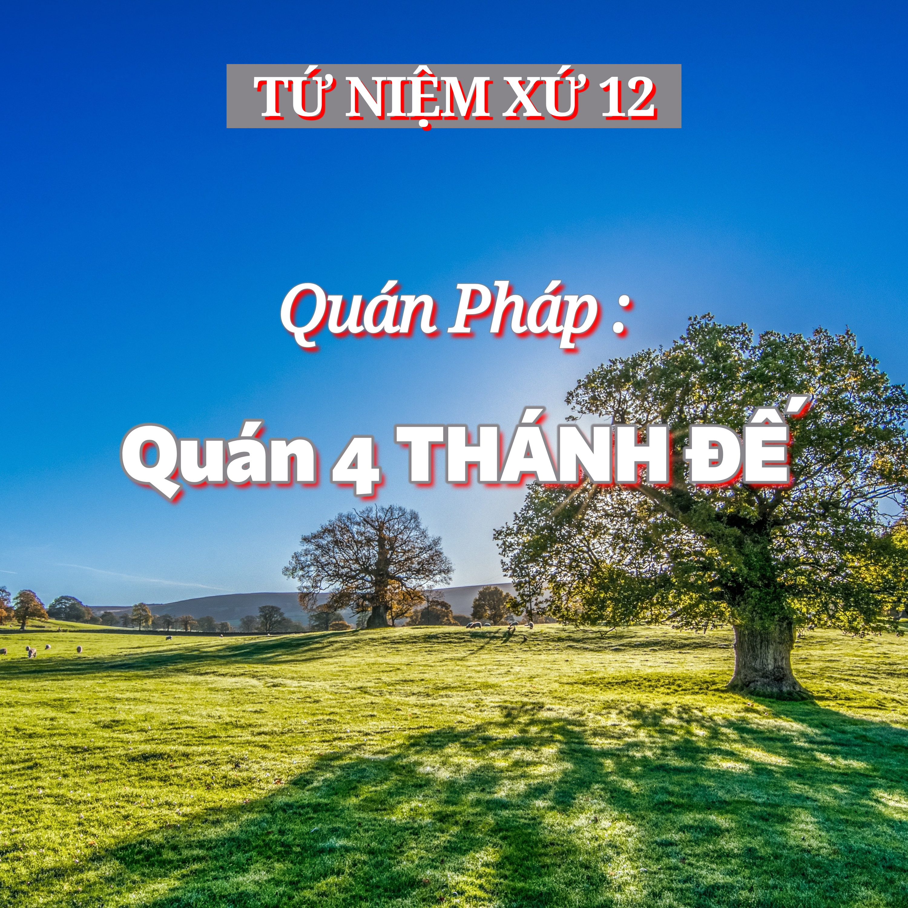 Phật Pháp và Giải Thoát (ĐĐ. Thích Toàn Thiện)