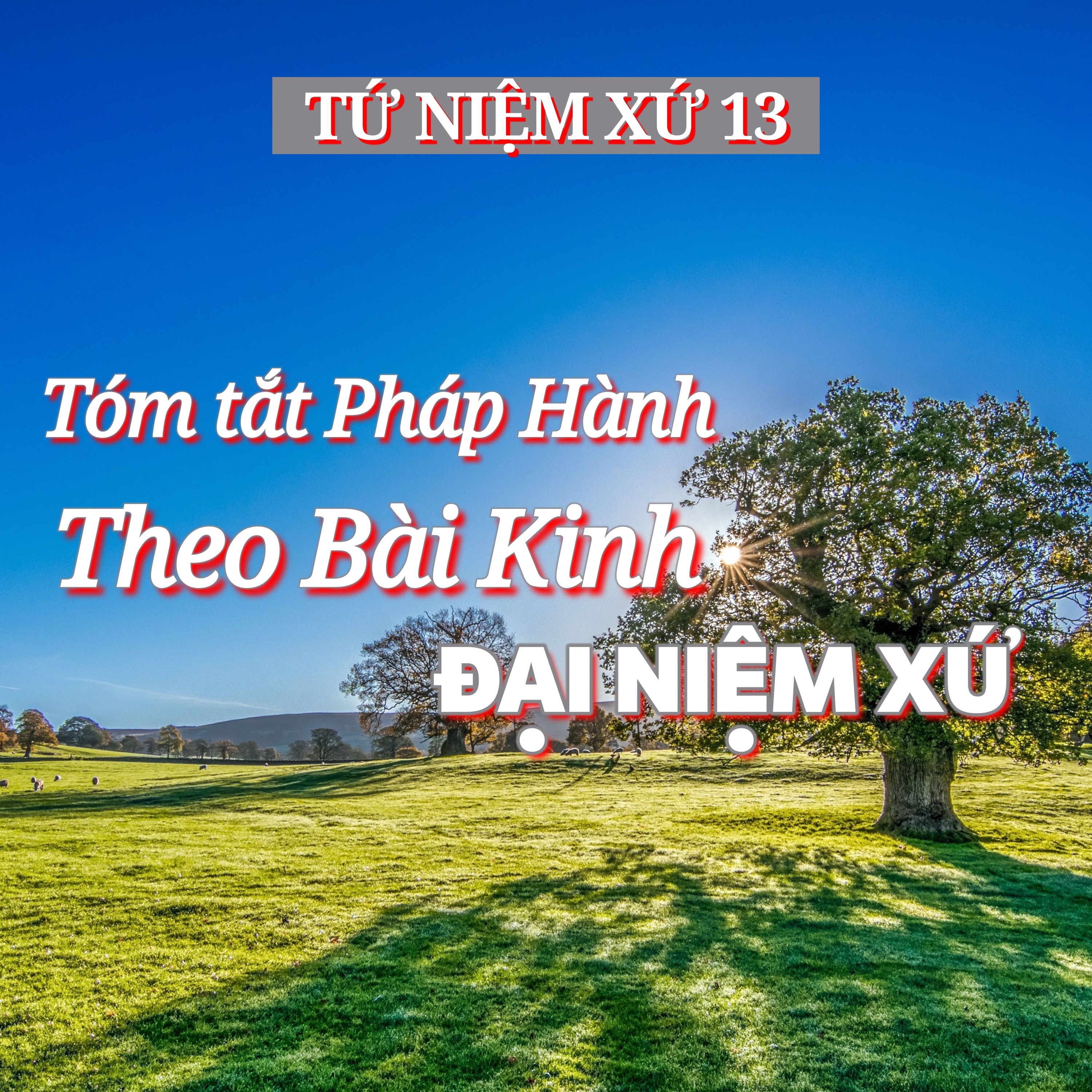 13/14. Tóm tắt Pháp Hành theo Bài Kinh ĐẠI NIỆM XỨ - ĐĐ. Thích Toàn Thiện episode artwork