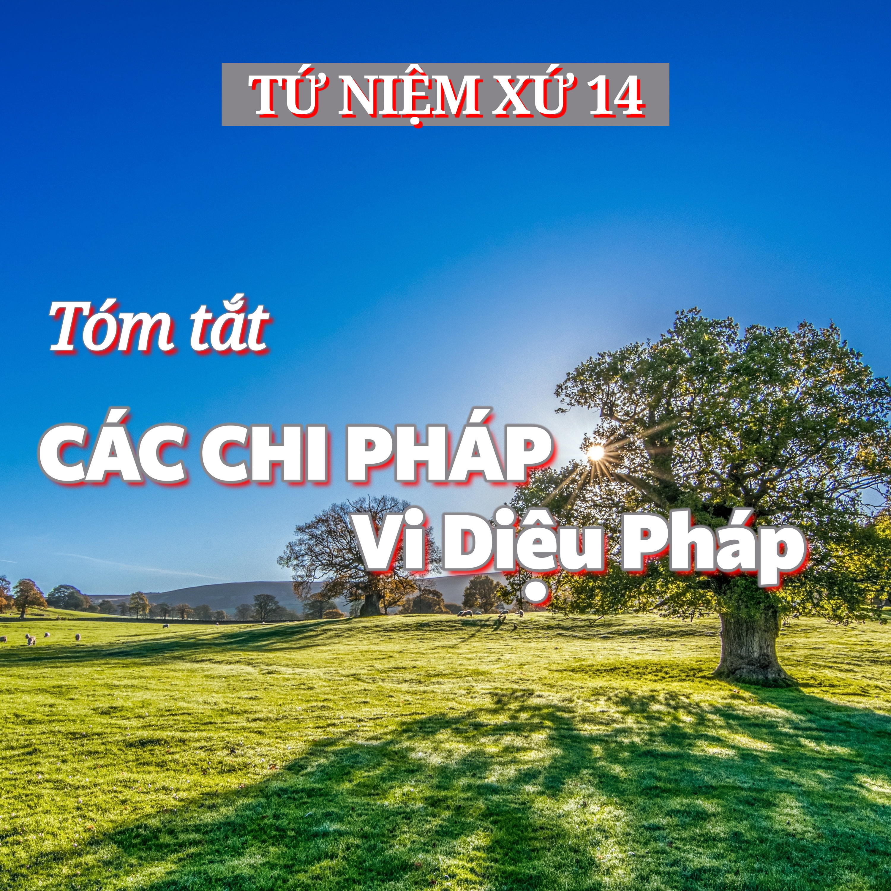 14/14. Tóm tắt CÁC CHI PHÁP Vi Diệu Pháp episode artwork