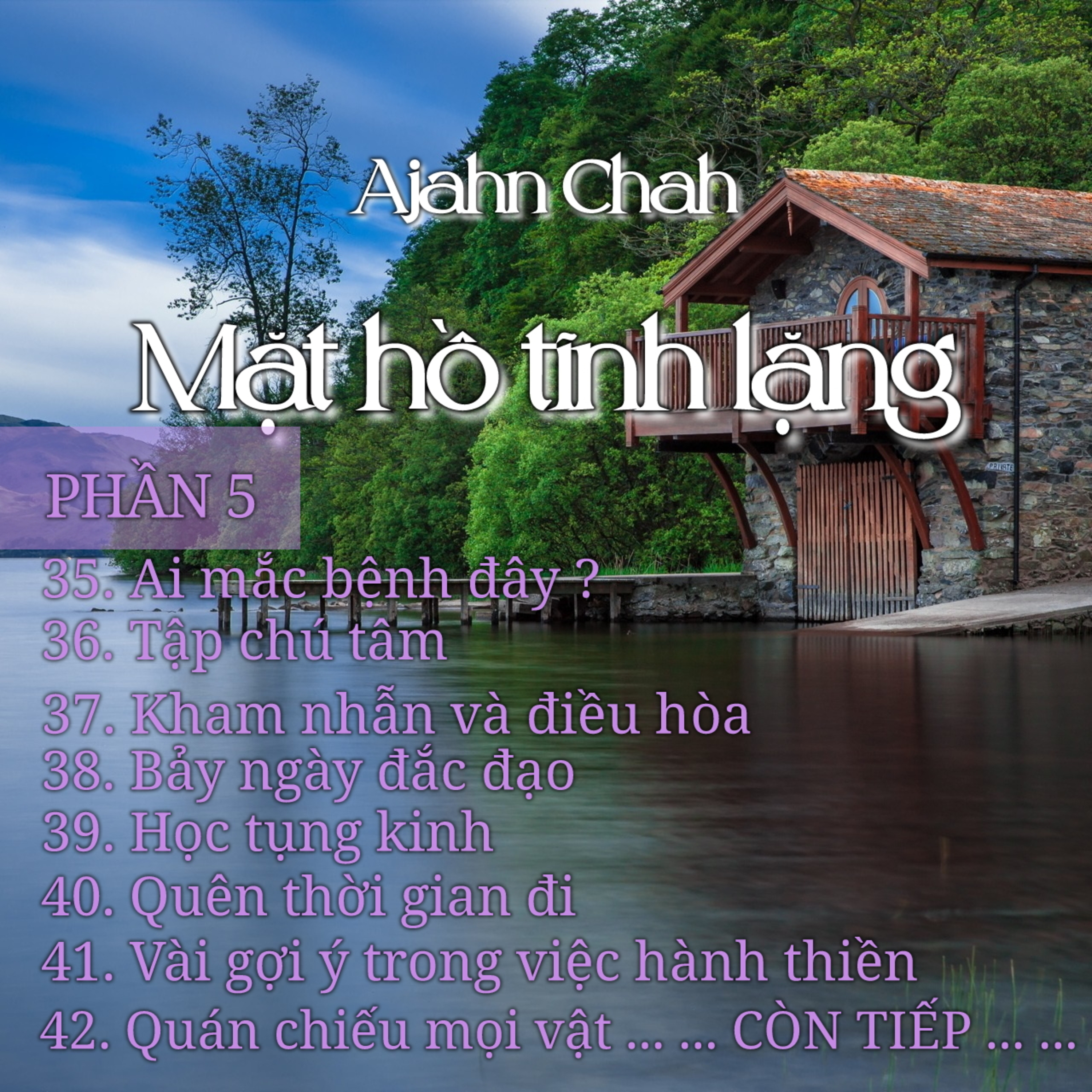 Mặt hồ tĩnh lặng 05 - Thiền Sư Ajahn Chah episode artwork