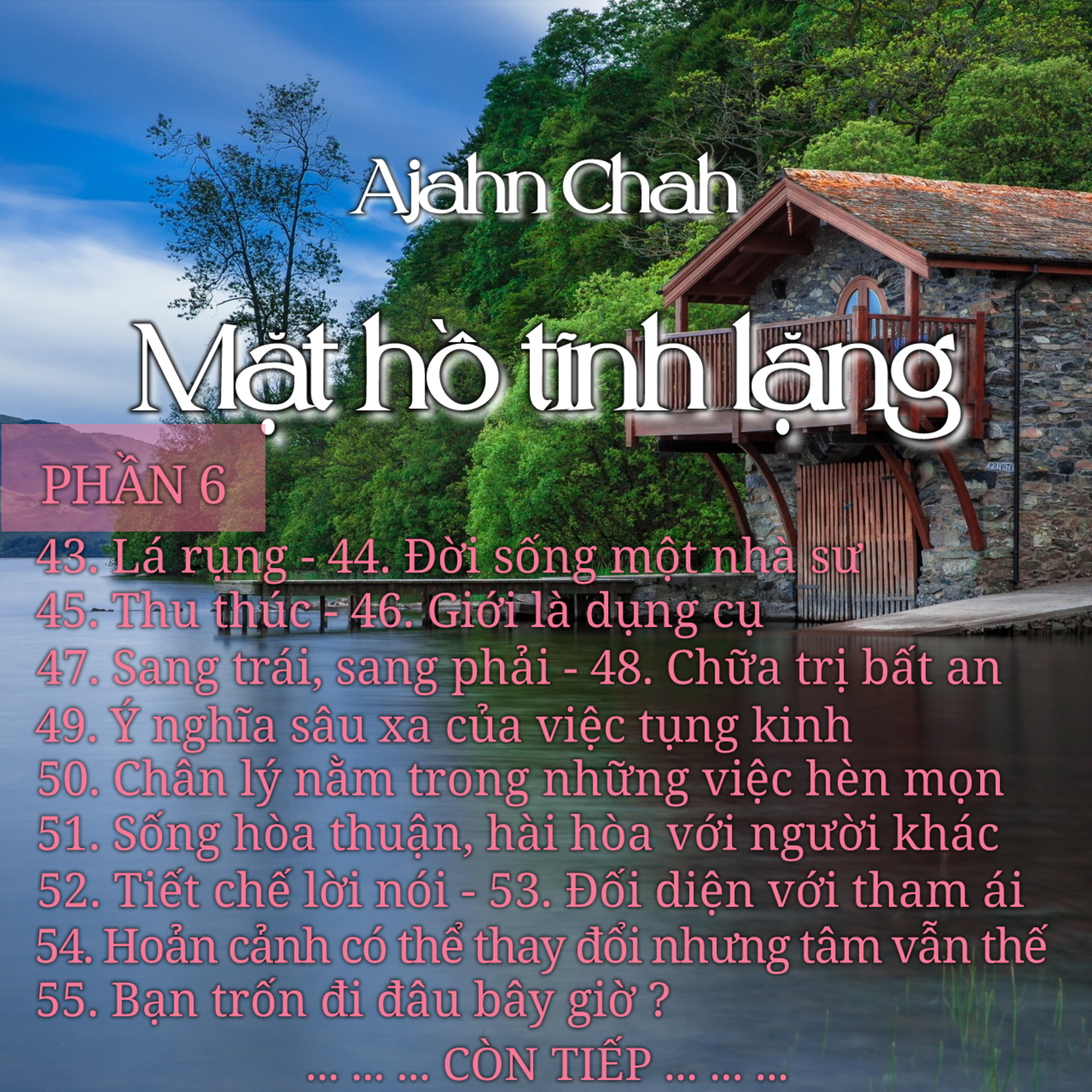 Mặt hồ tĩnh lặng 06 - Thiền Sư Ajahn Chah episode artwork
