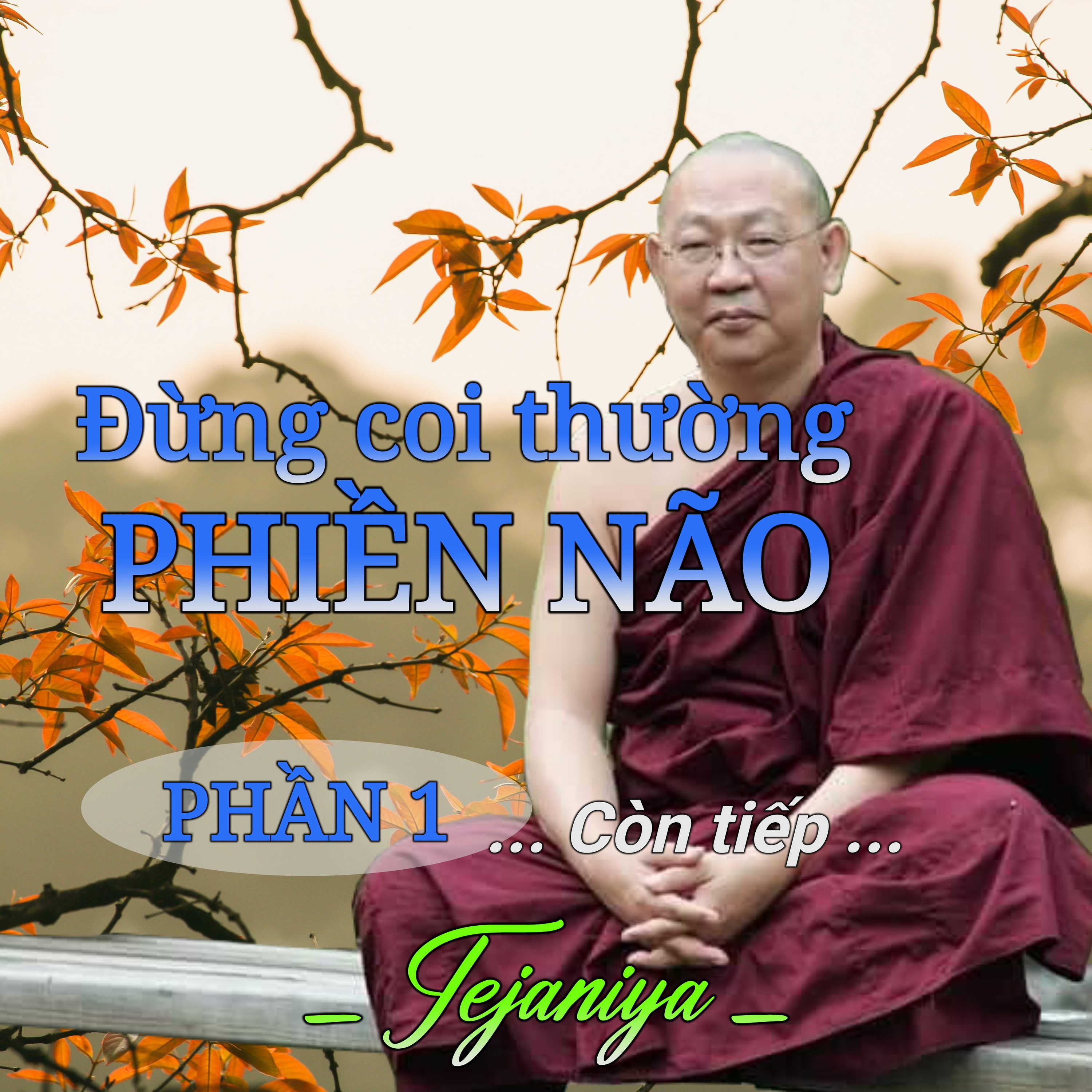 Đừng coi thường phiền não 01 - Thiền Sư Tejaniya episode artwork