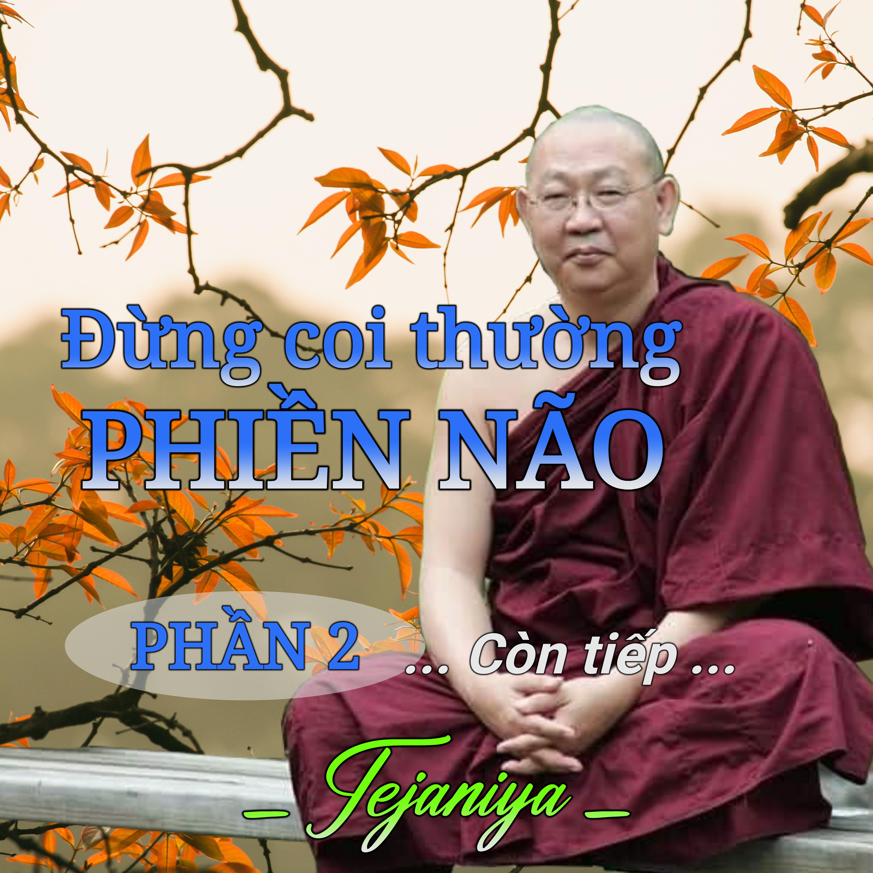 Đừng coi thường phiền não 02 - Thiền Sư Tejaniya episode artwork