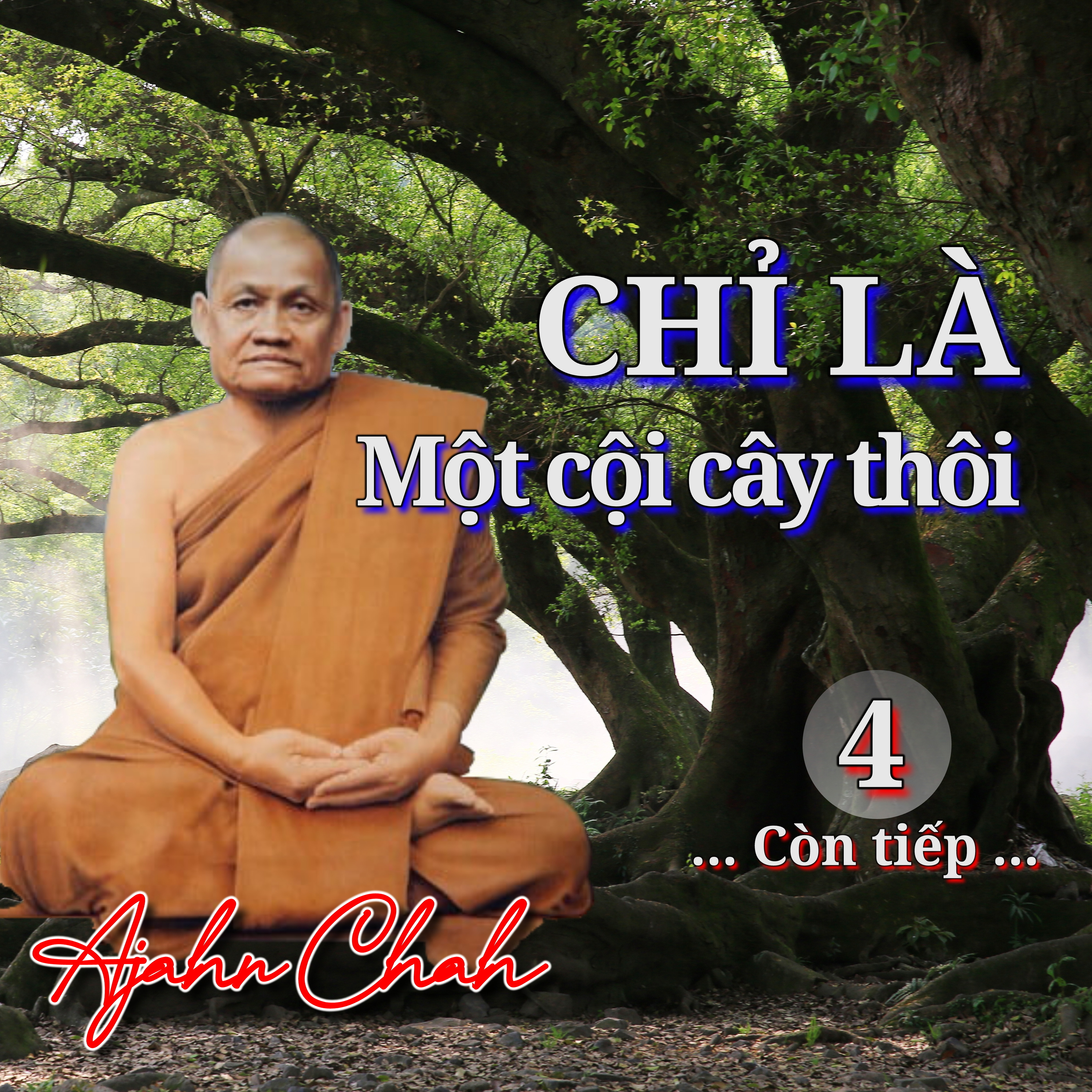 Chỉ là một cội cây thôi 04 - Thiền Sư Ajahn Chah episode artwork