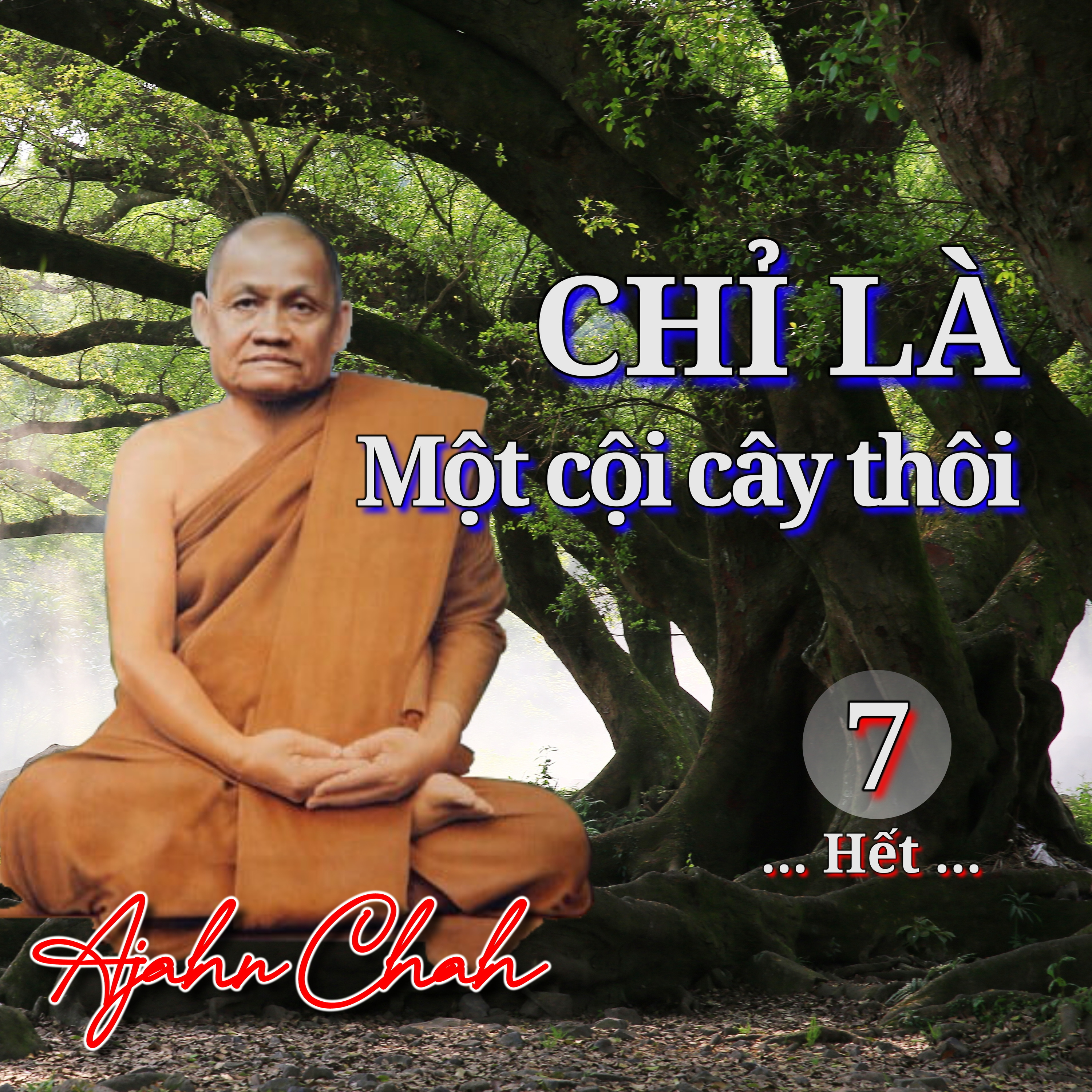 Chỉ là một cội cây thôi 07 - Thiền Sư Ajahn Chah episode artwork