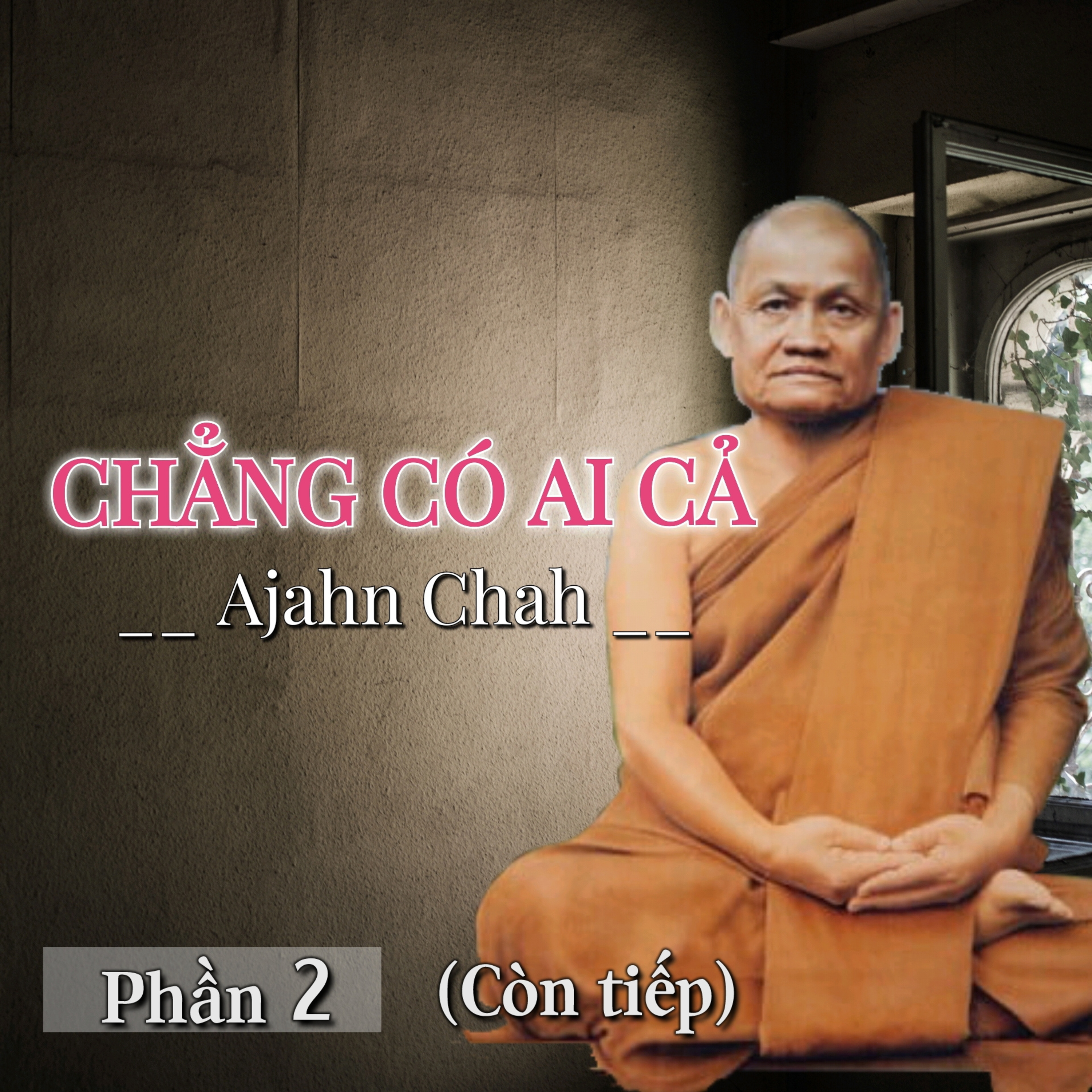 Chẳng có ai cả 02 - Thiền Sư Ajahn Chah episode artwork