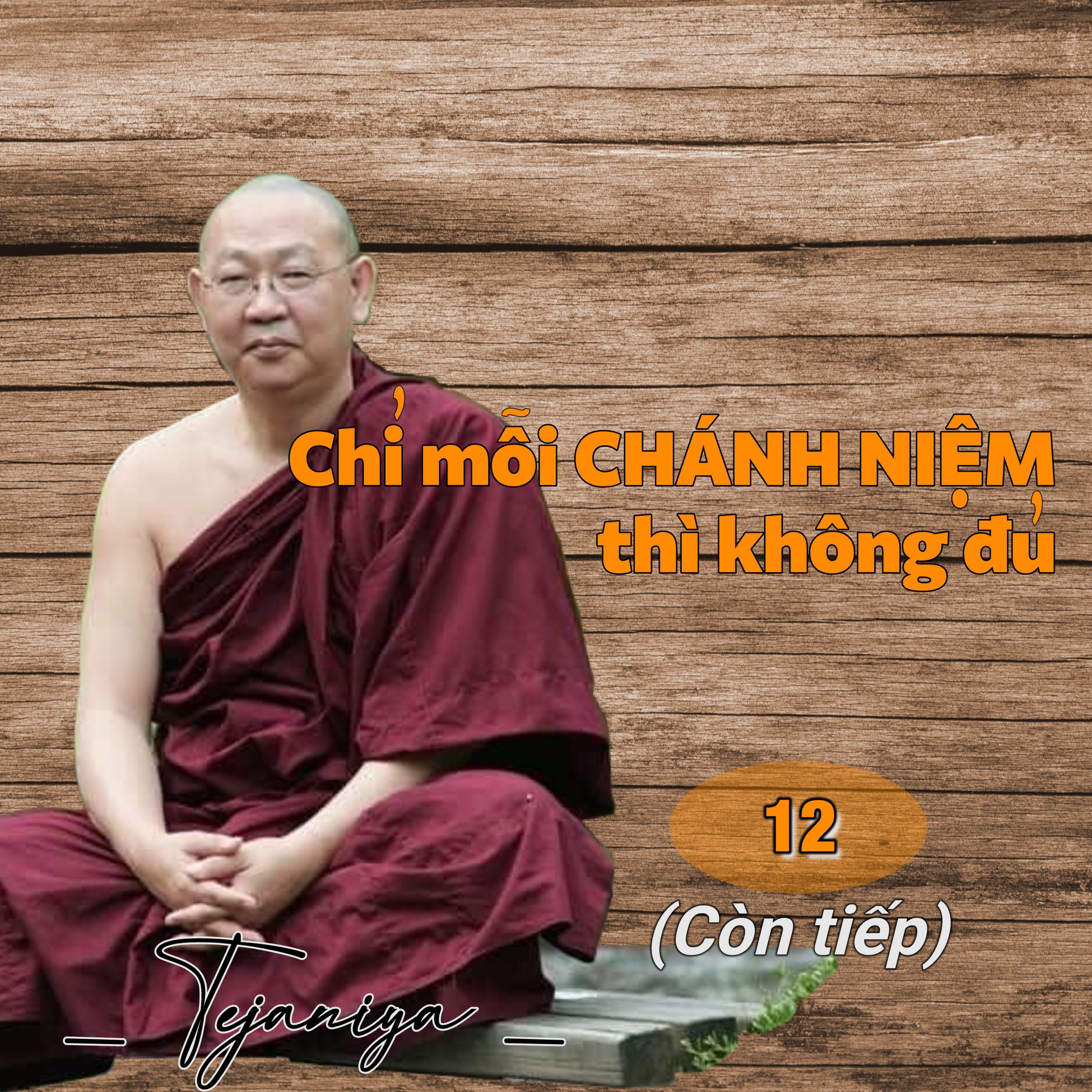 Chỉ mỗi Chánh Niệm thì không đủ 12 - Thiền Sư Tejaniya episode artwork