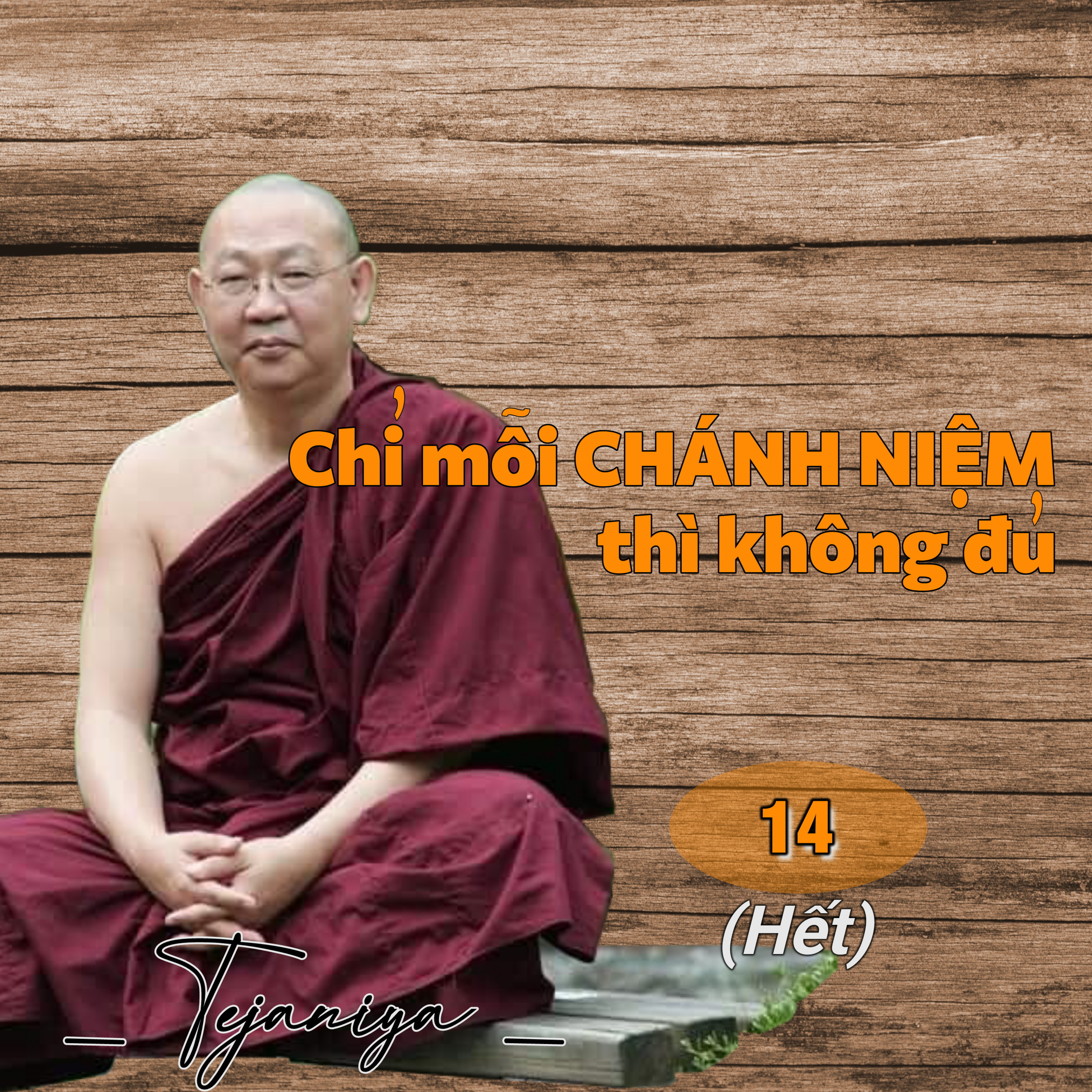 Chỉ mỗi Chánh Niệm thì không đủ 14 - Thiền Sư Tejaniya episode artwork
