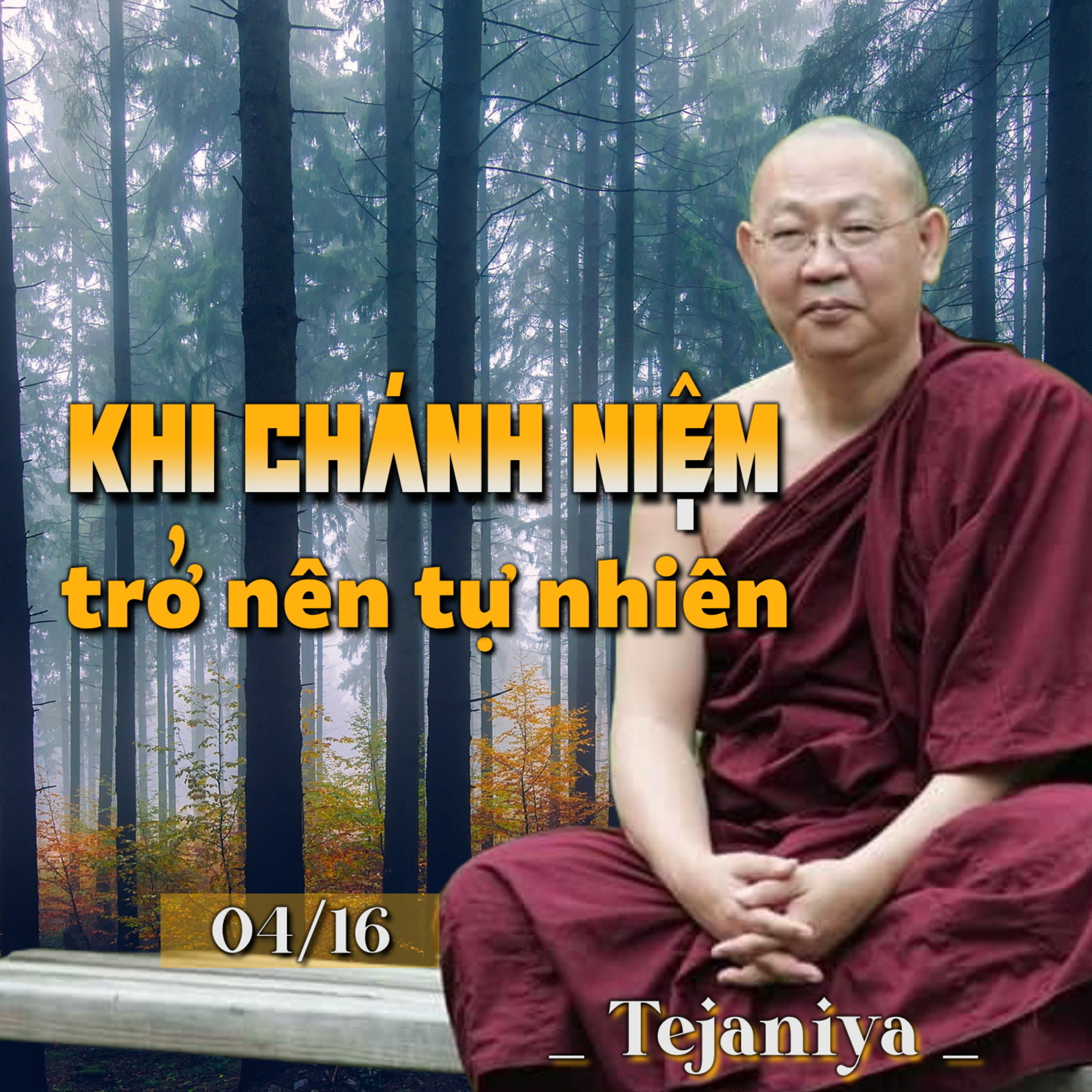 Khi Chánh Niệm trở nên tự nhiên 04 - Thiền Sư Tejaniya episode artwork