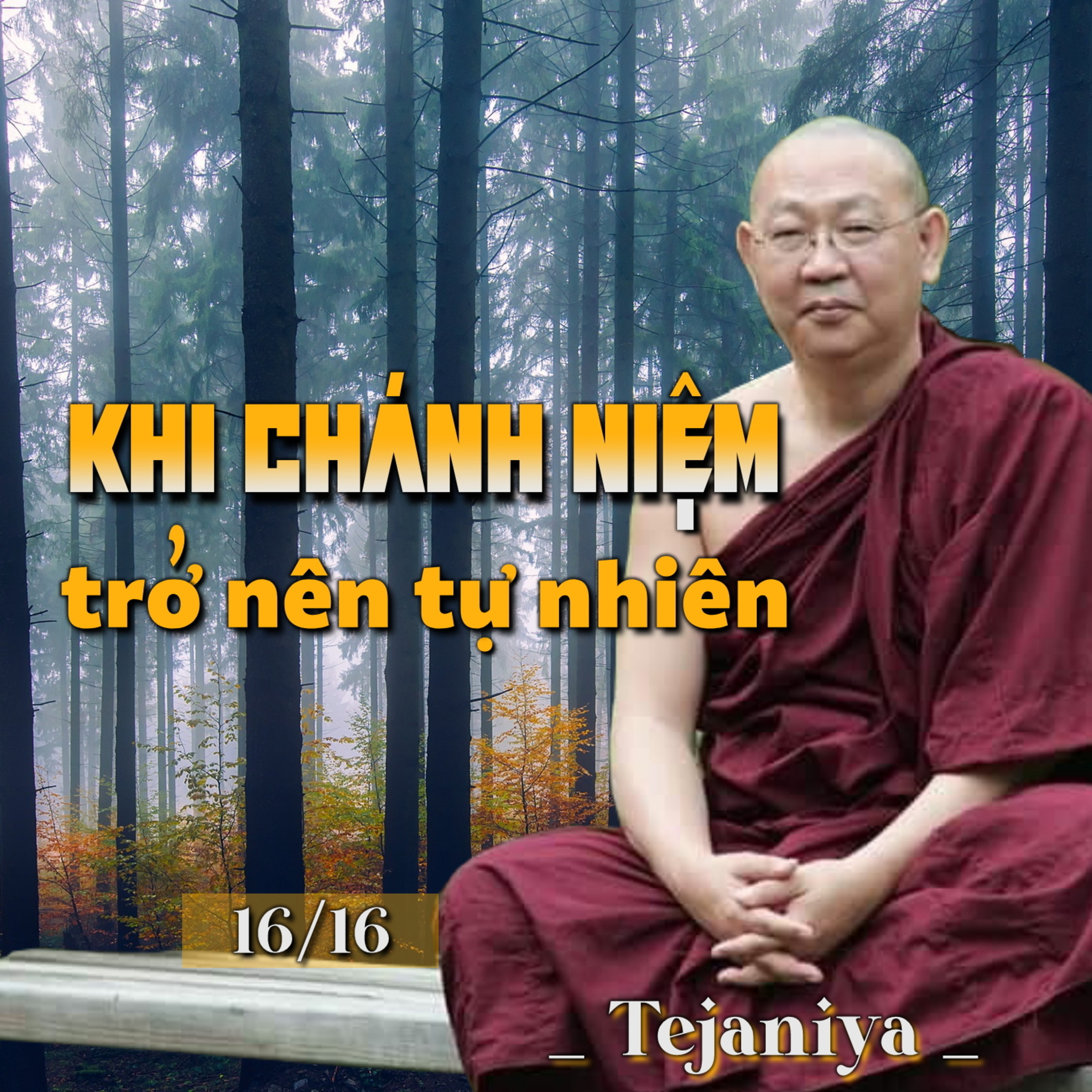 Khi Chánh Niệm trở nên tự nhiên 16 - Thiền Sư Tejaniya episode artwork