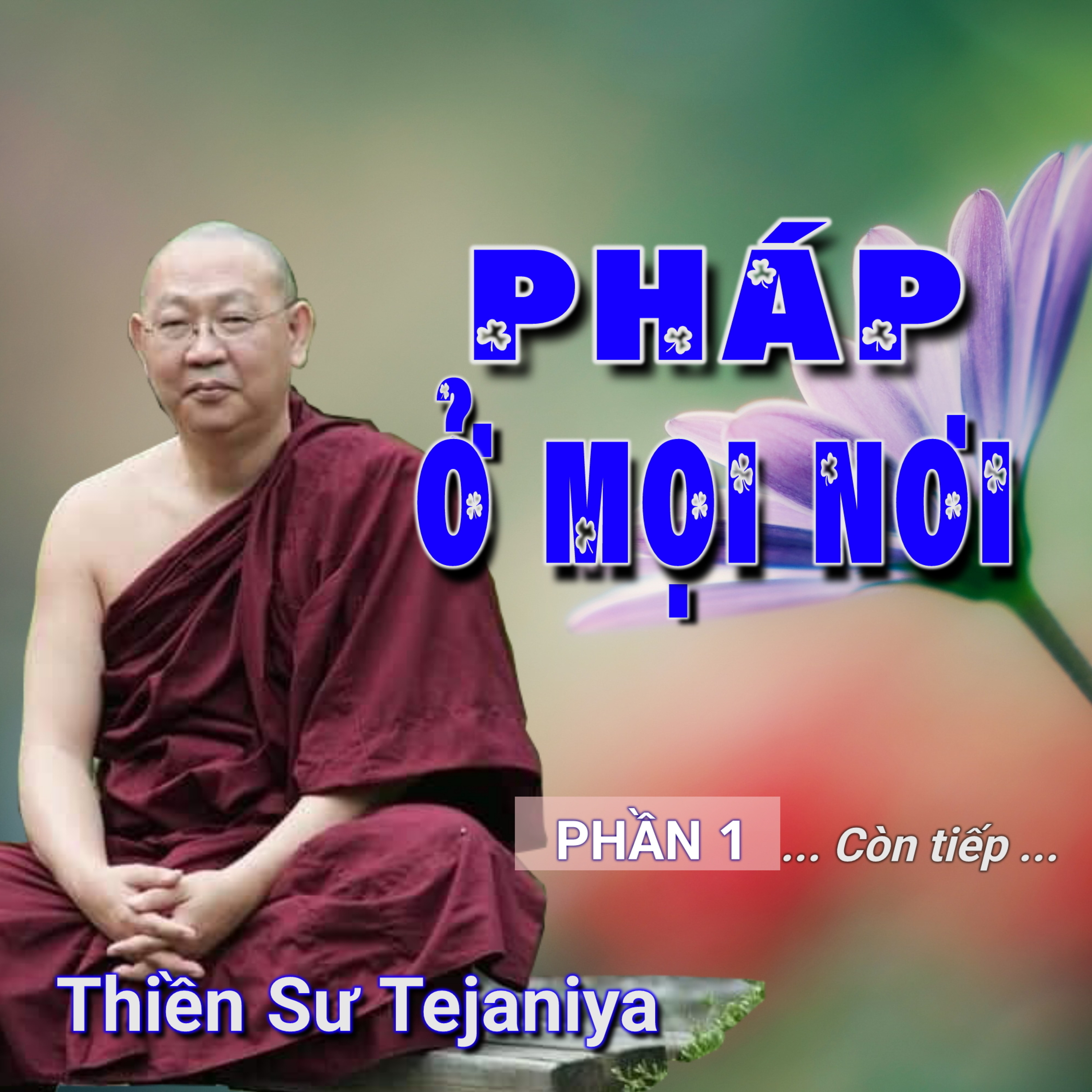 Pháp ở mọi nơi 01 - Thiền Sư Tejaniya episode artwork