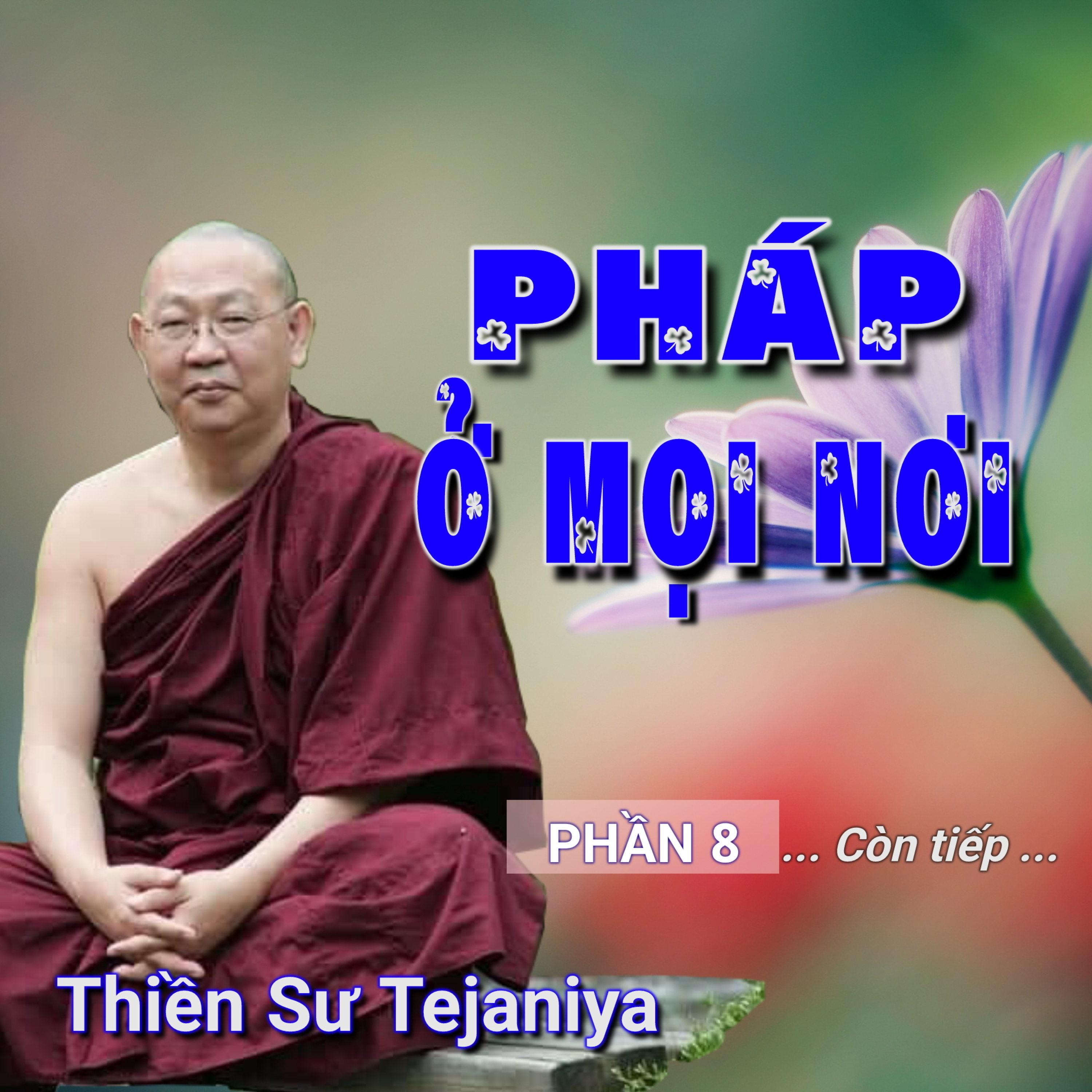 Pháp ở mọi nơi 08 - Thiền Sư Tejaniya episode artwork
