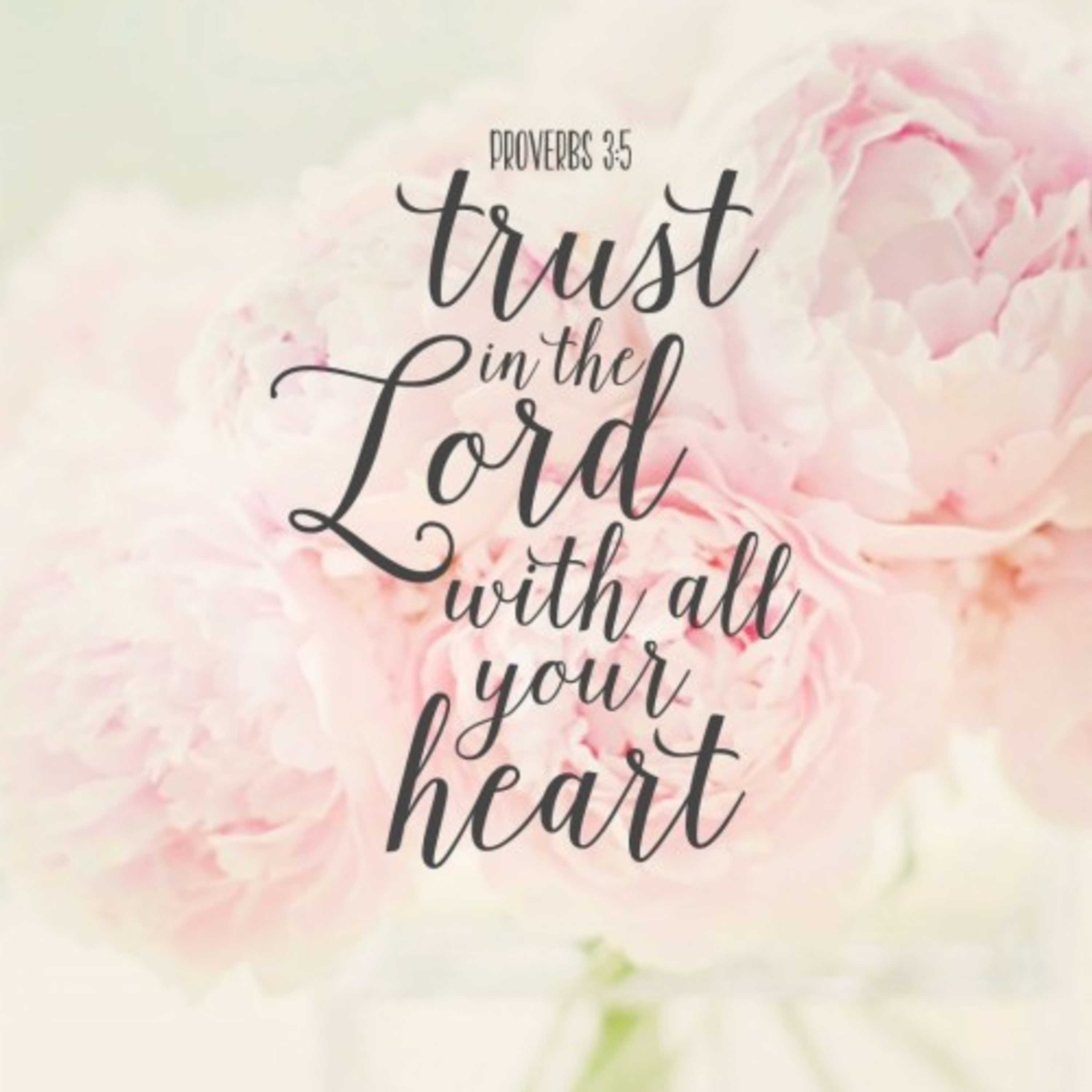Daily Devotion_Hindi