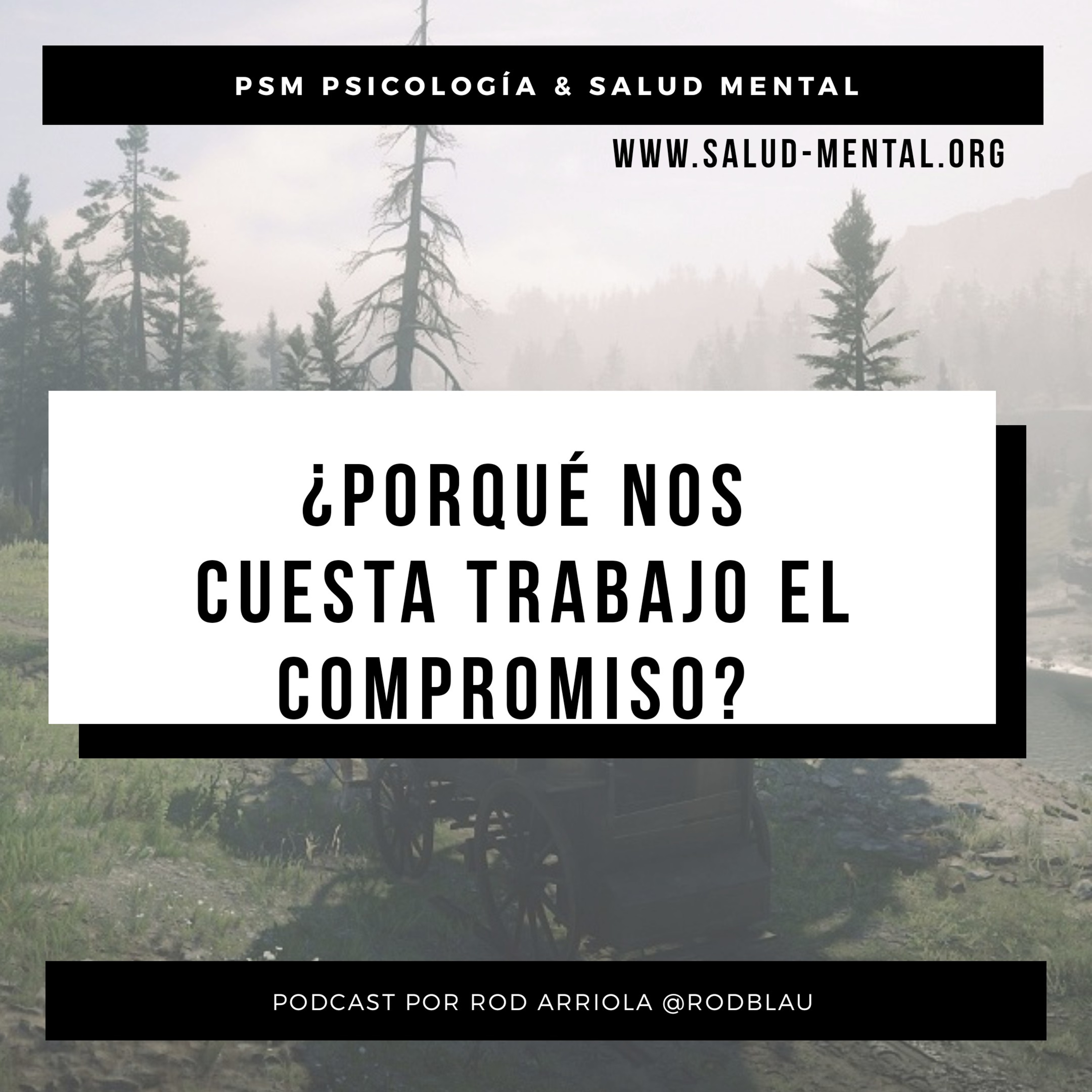 PSM Psicología & Salud Mental