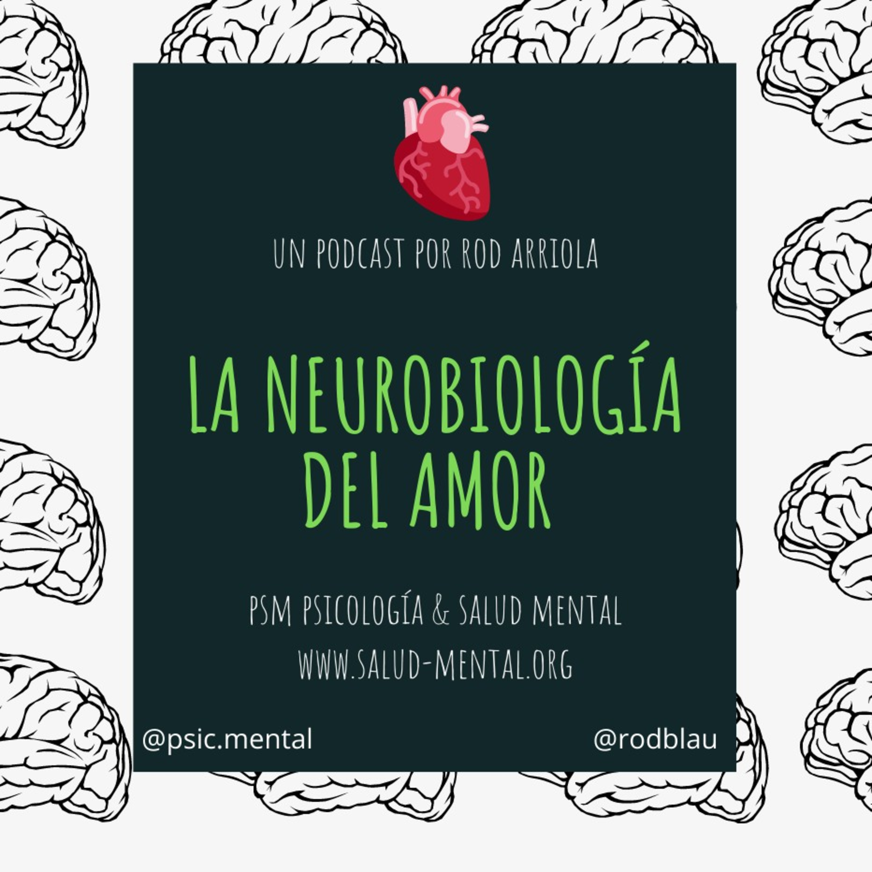 PSM Psicología & Salud Mental