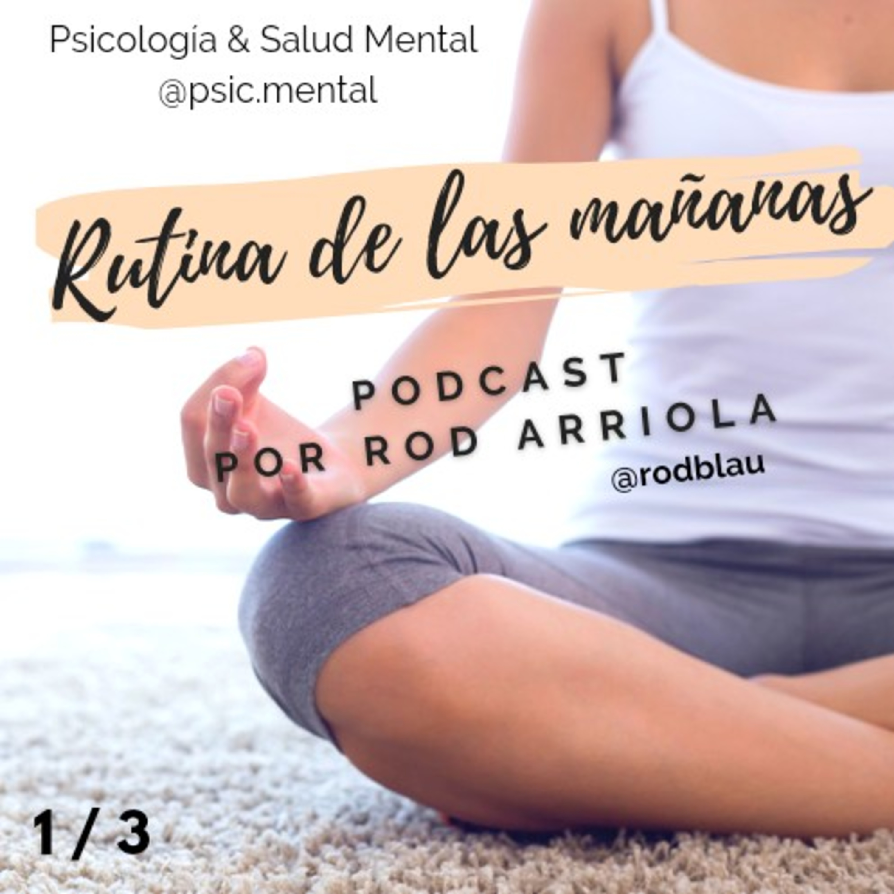 PSM Psicología & Salud Mental