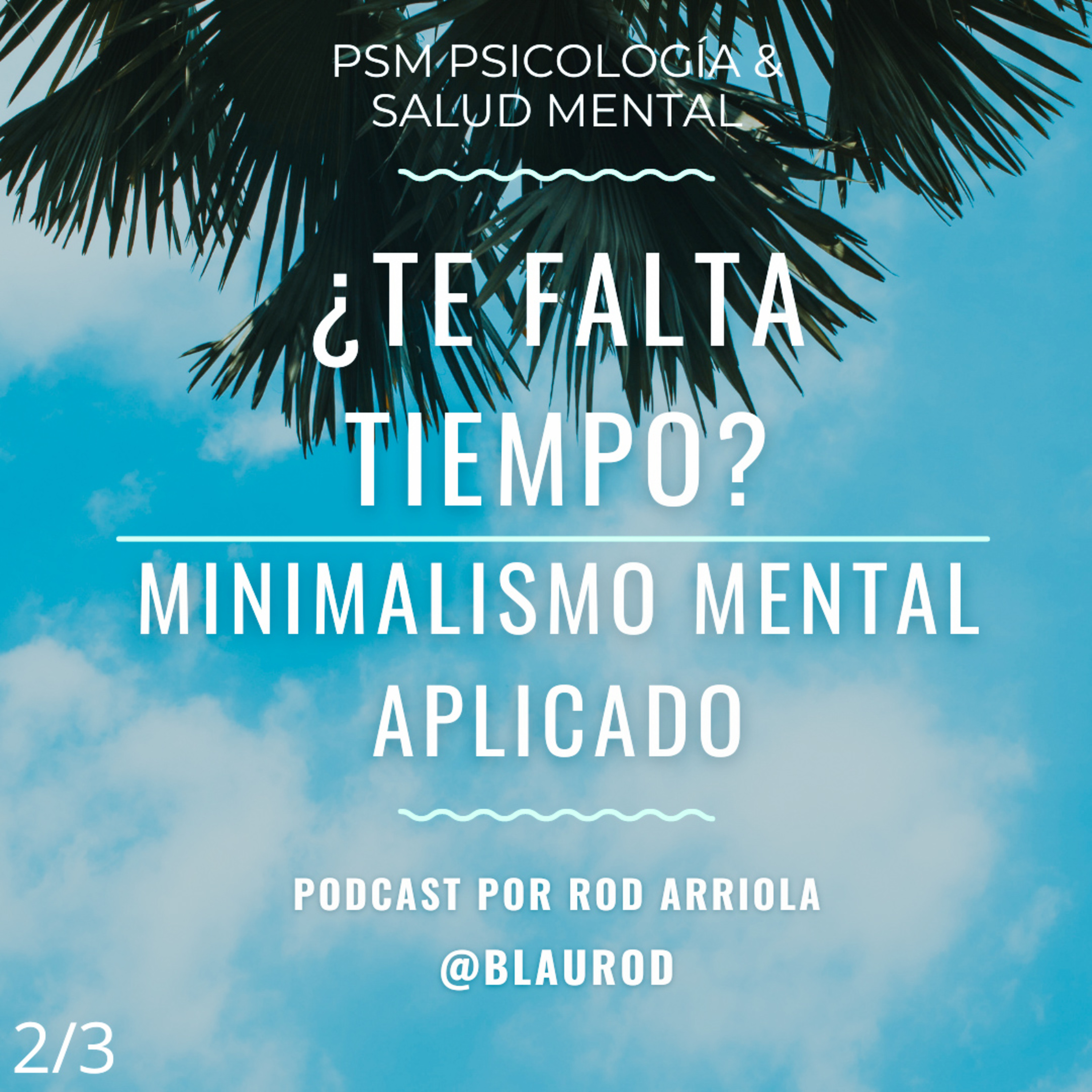 PSM Psicología & Salud Mental