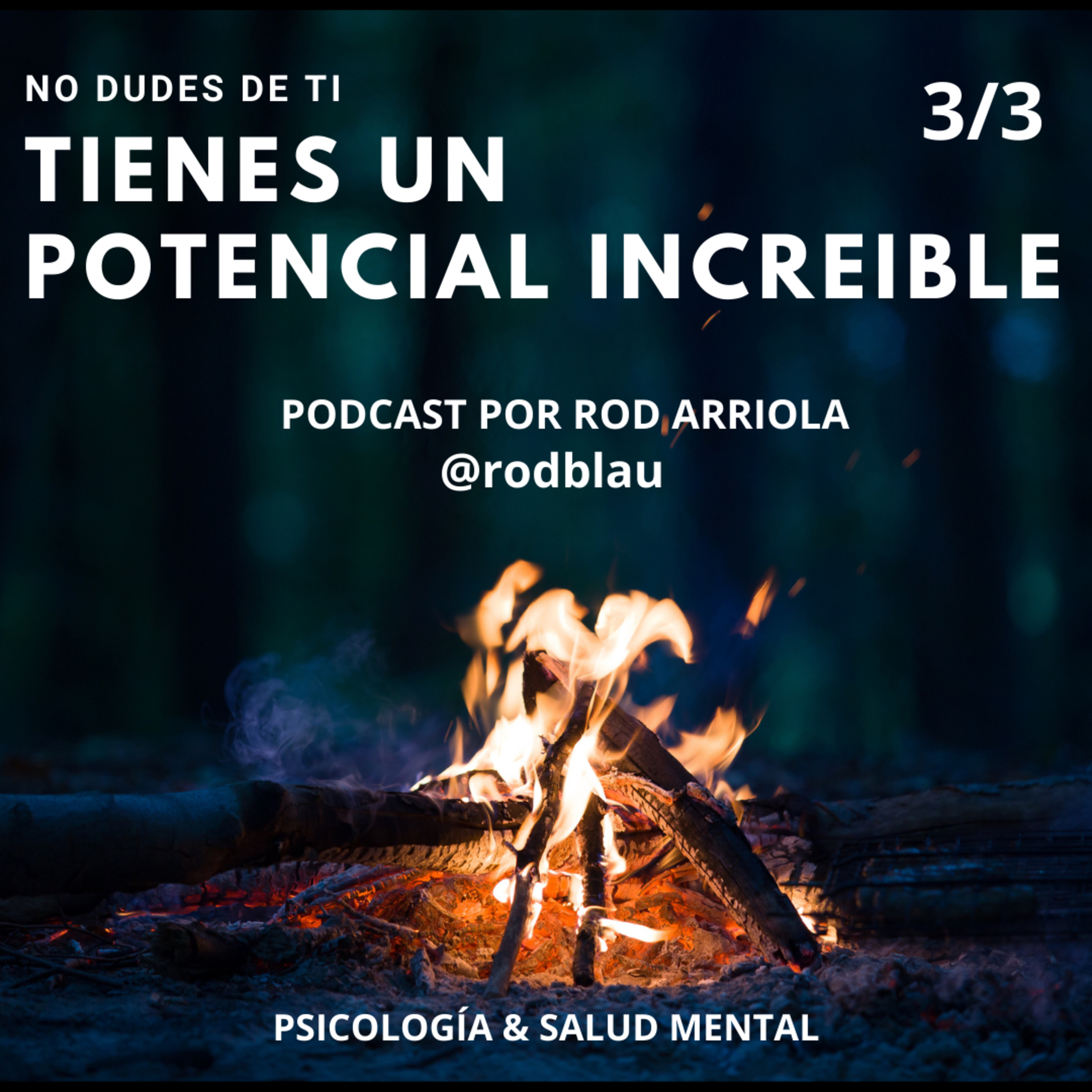 PSM Psicología & Salud Mental