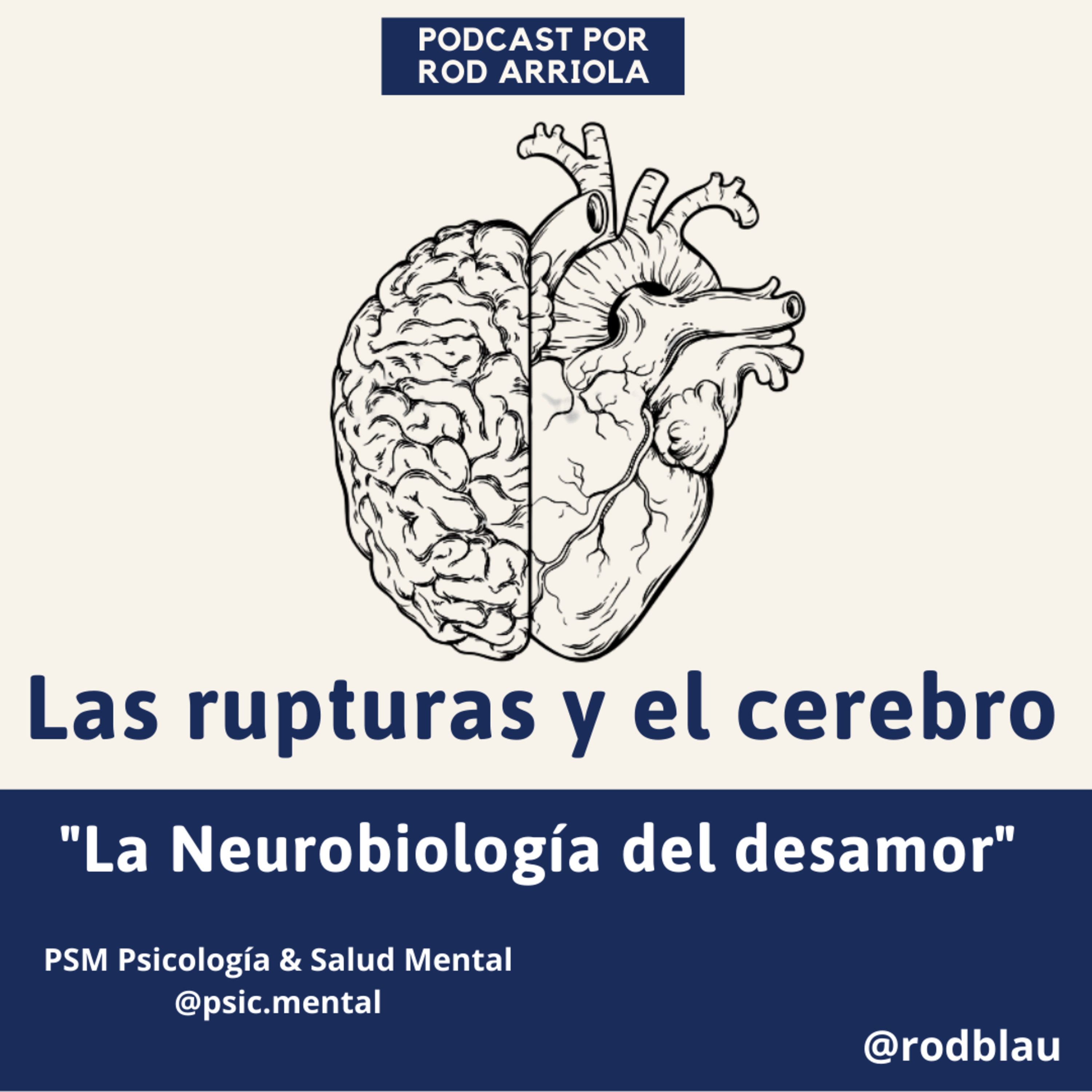 PSM Psicología & Salud Mental